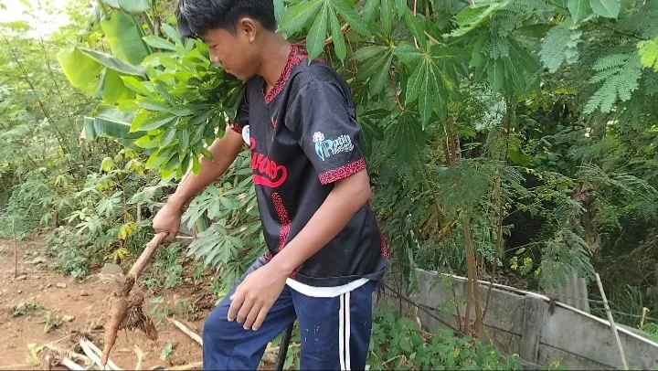 KEBUN SMKN 74 JAGAKARSA JAKARTA SELATAN - Gambar 12