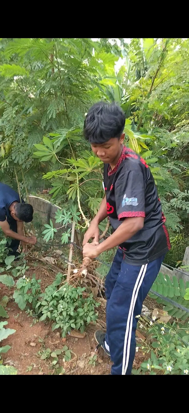 KEBUN SMKN 74 JAGAKARSA JAKARTA SELATAN - Gambar 13