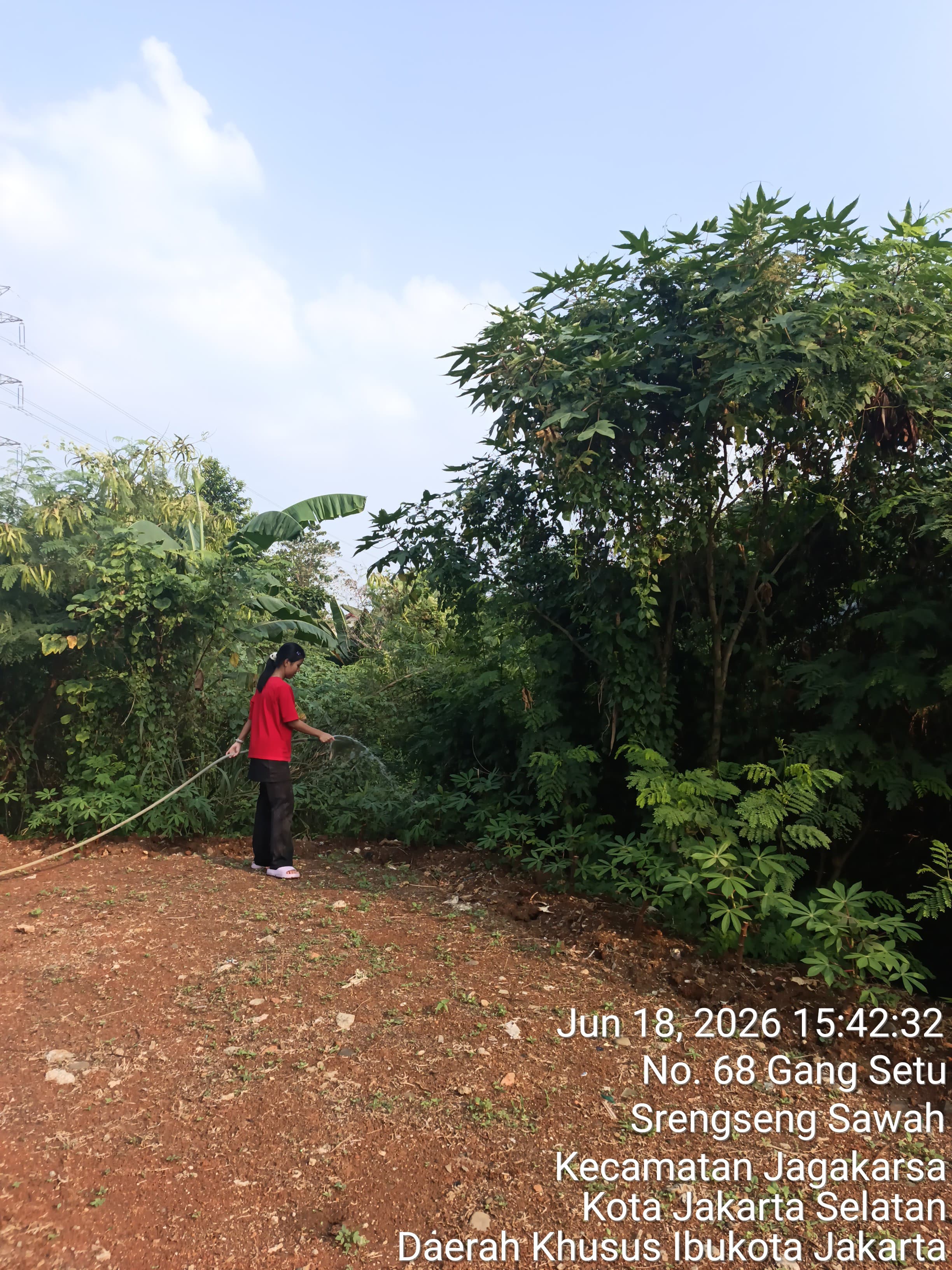 KEBUN SMKN 74 JAGAKARSA JAKARTA SELATAN - Gambar 560