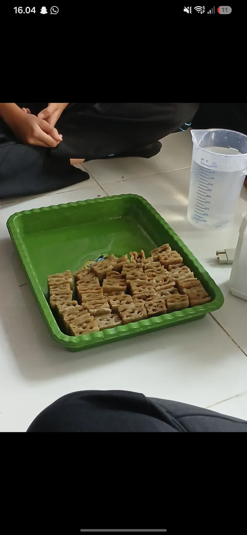 Lahan Urban Farming SMKN 20 Jakarta - Gambar 16