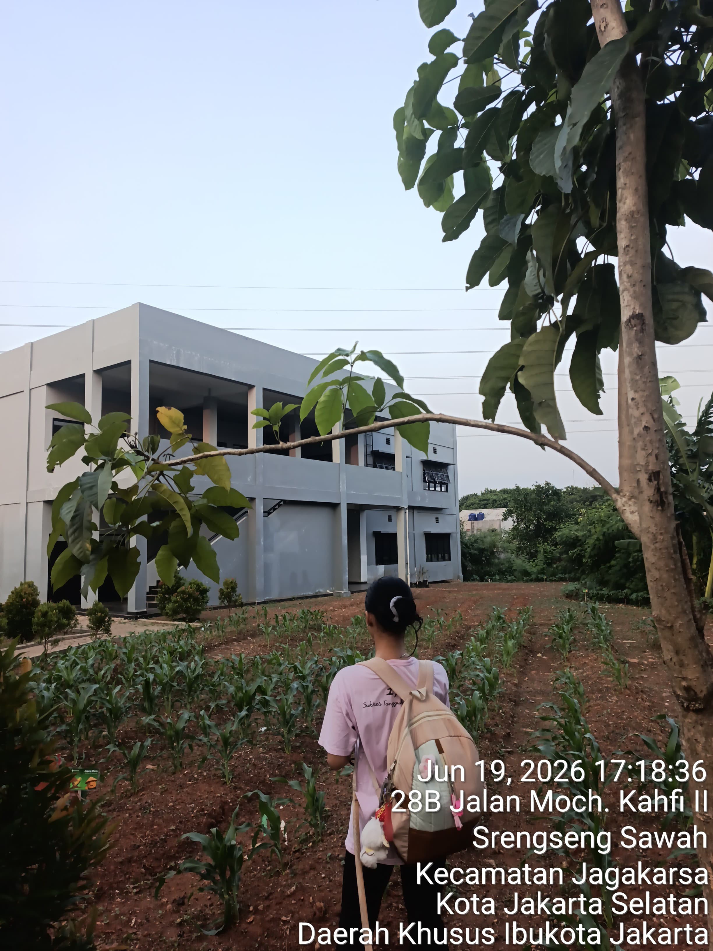 KEBUN SMKN 74 JAGAKARSA JAKARTA SELATAN - Gambar 557