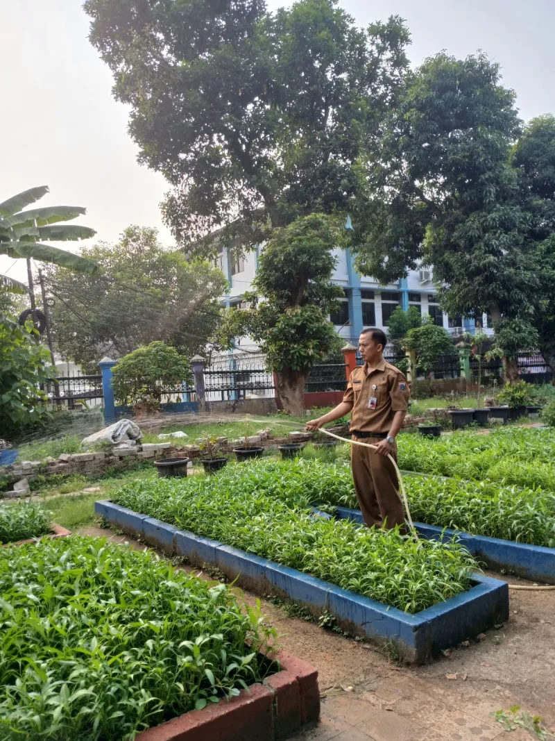 Lahan Urban Farming SMAN 109 Jakarta - Gambar 24