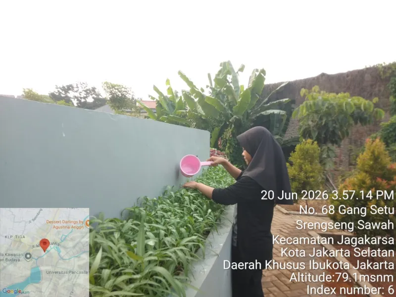 KEBUN SMKN 74 JAGAKARSA JAKARTA SELATAN - Gambar 555