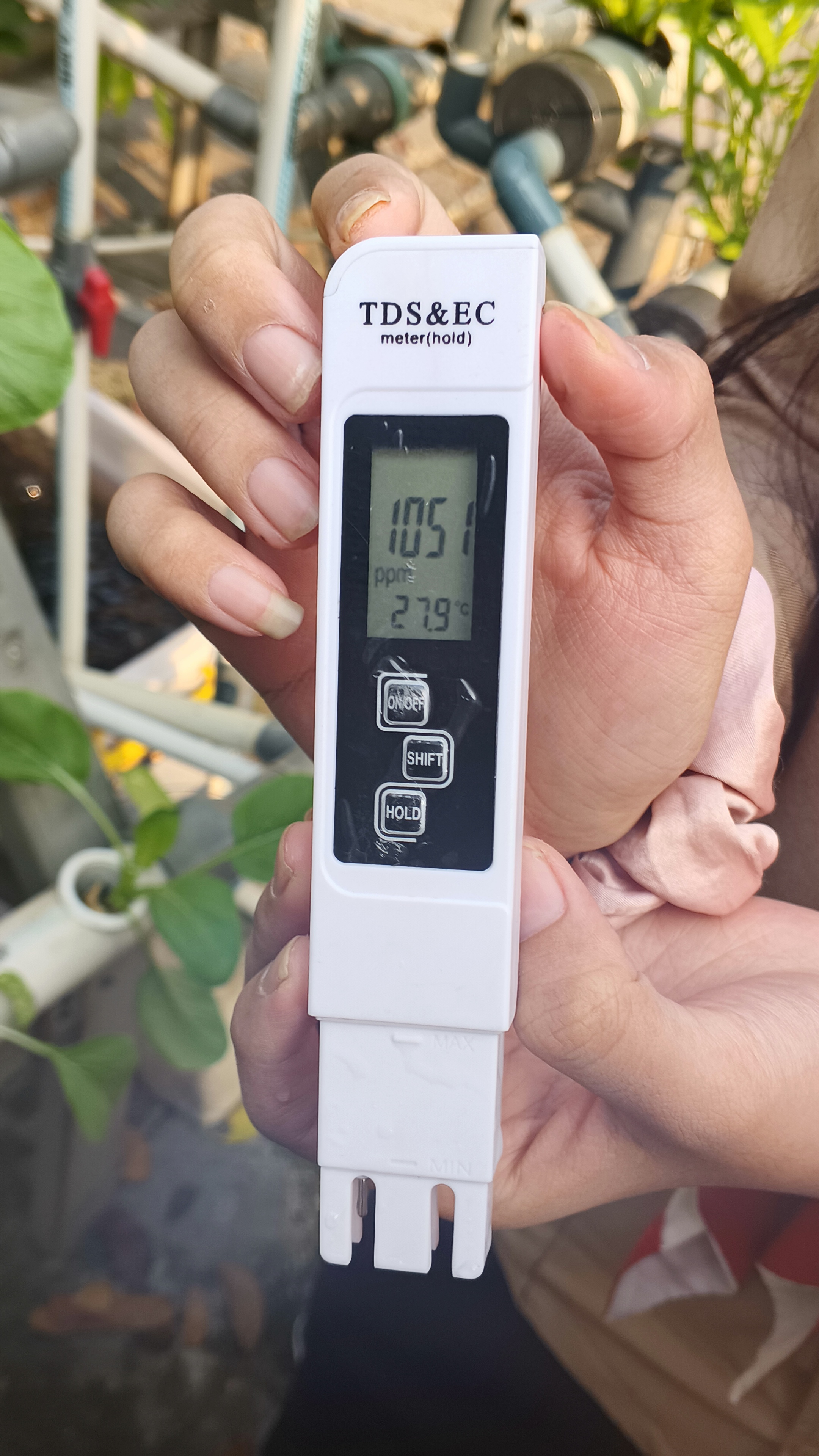 Lahan Urban Farming SMKN 59 Jakarta - Gambar 20
