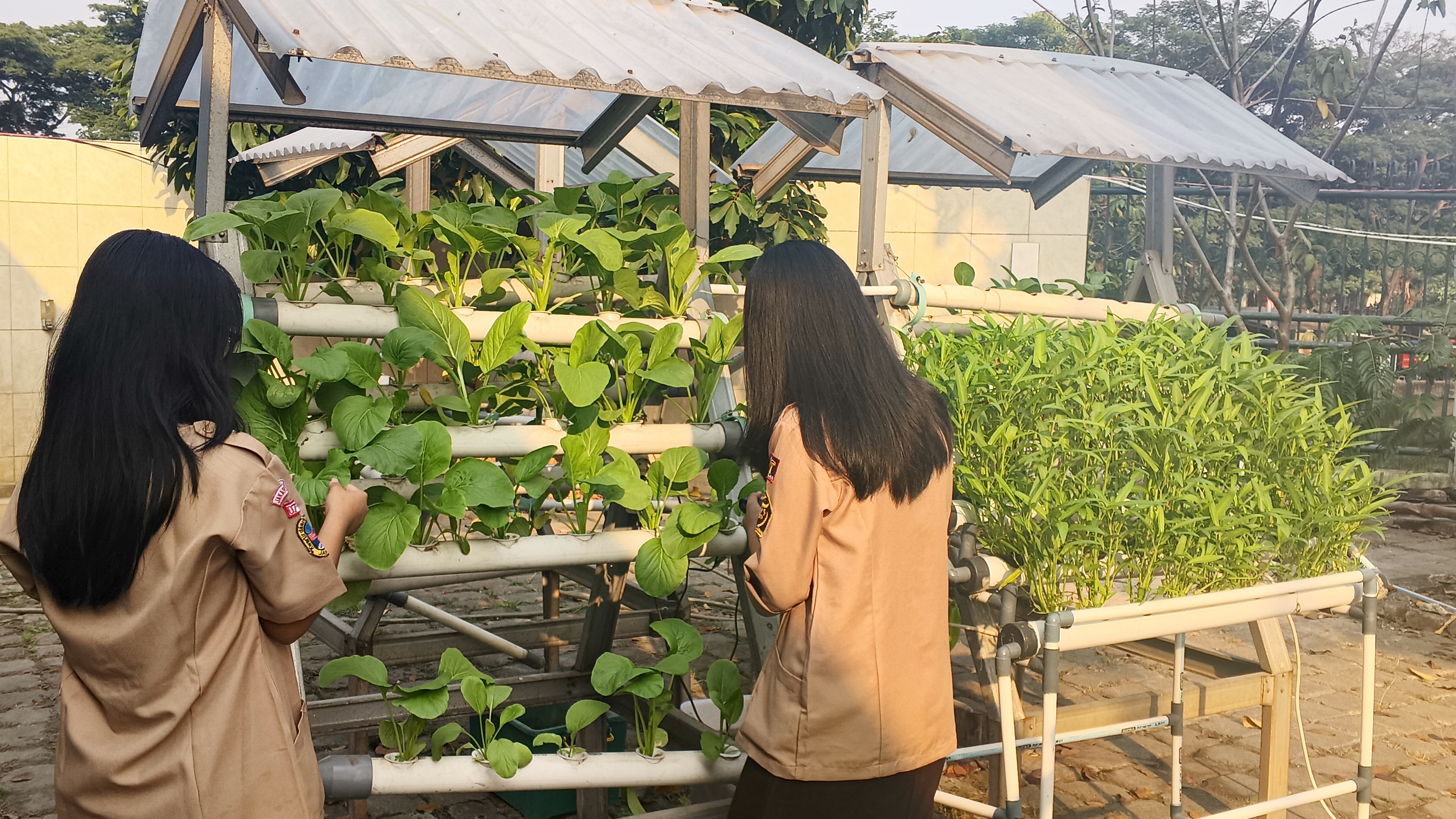 Lahan Urban Farming SMKN 59 Jakarta - Gambar 19