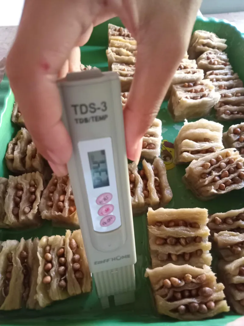 Lahan Urban Farming SMKN 20 Jakarta - Gambar 14
