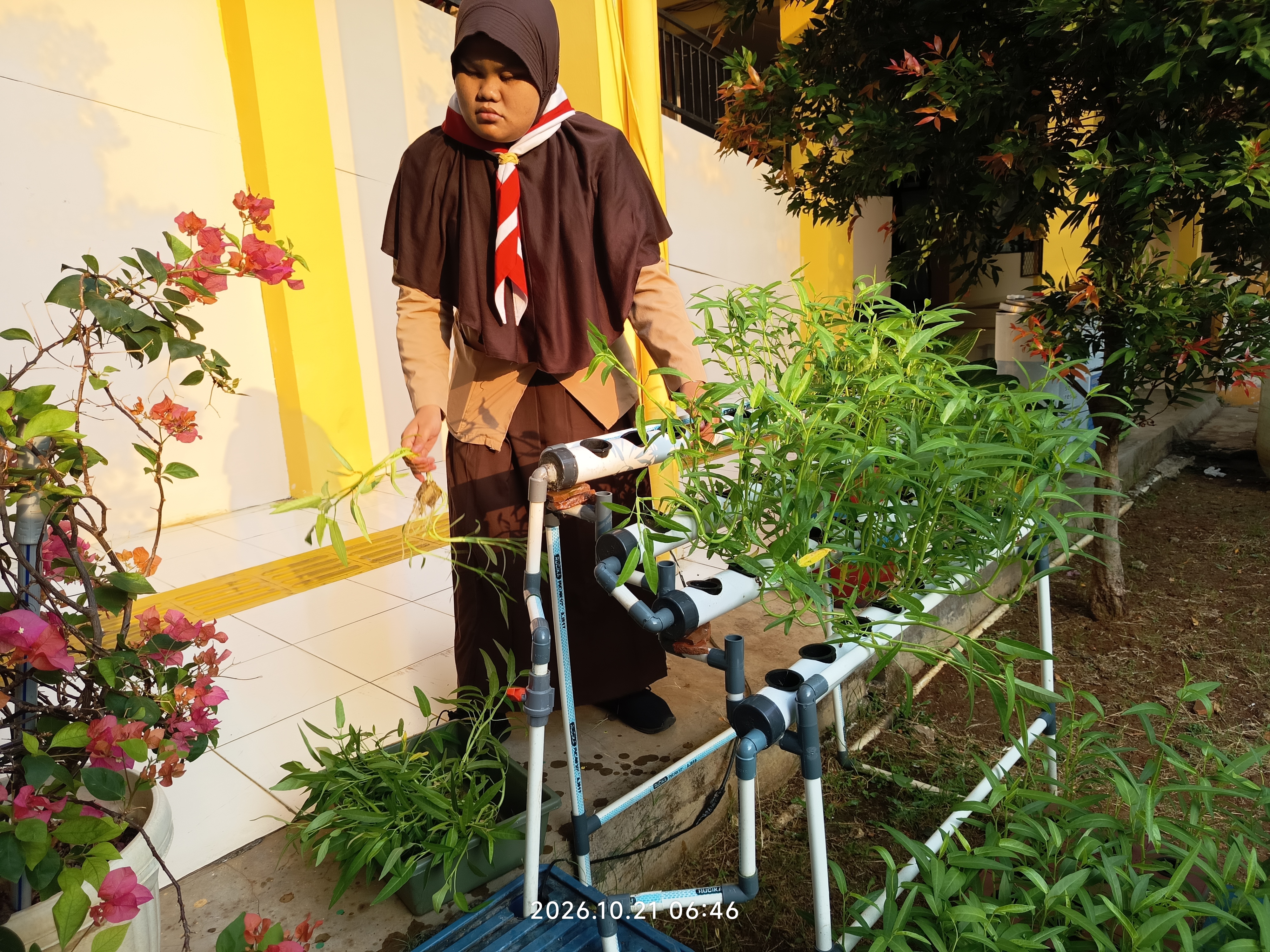 Lahan Urban Farming SLB A Pembina Tingkat Nasional - Gambar 13