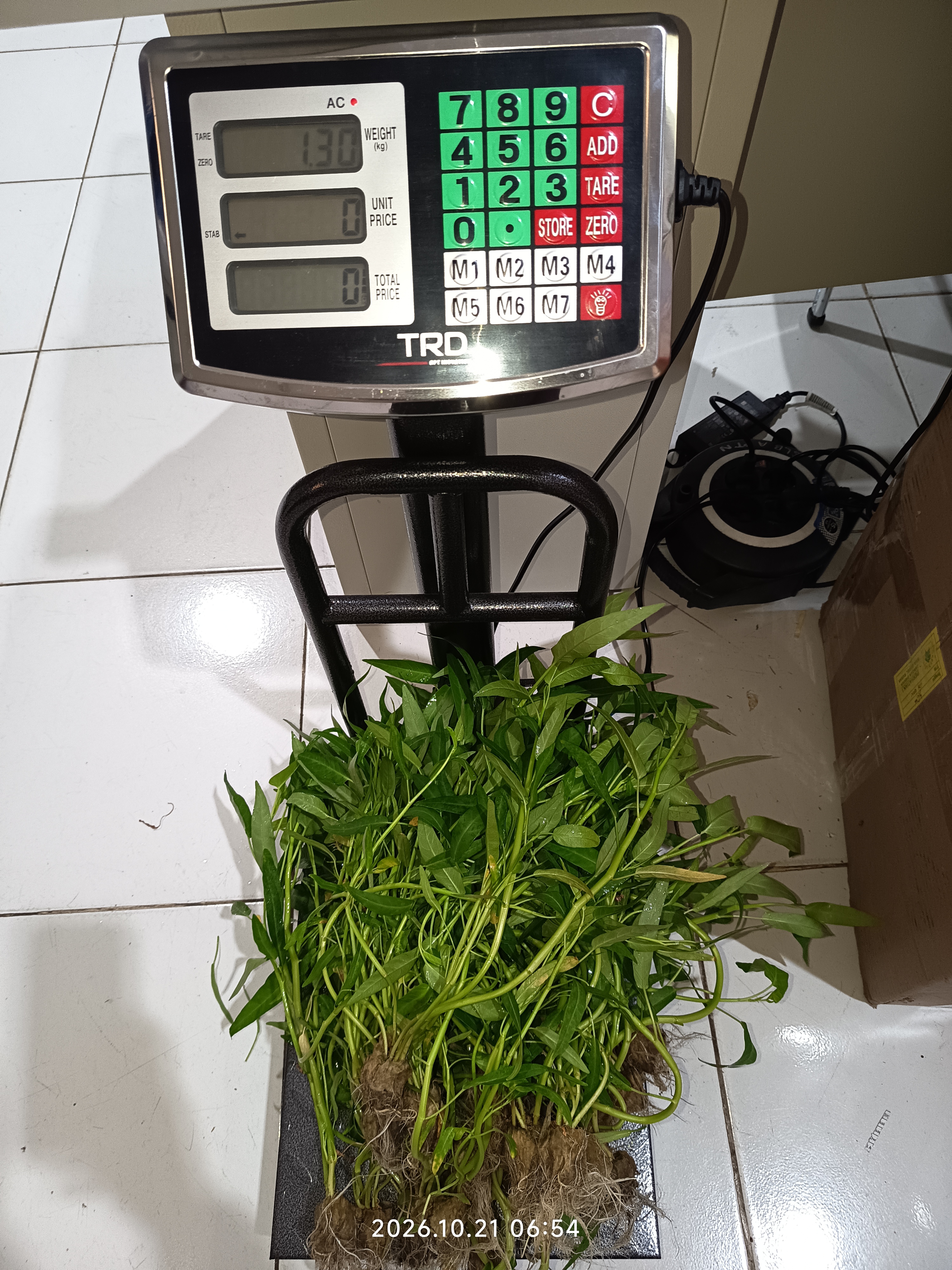 Lahan Urban Farming SLB A Pembina Tingkat Nasional - Gambar 14