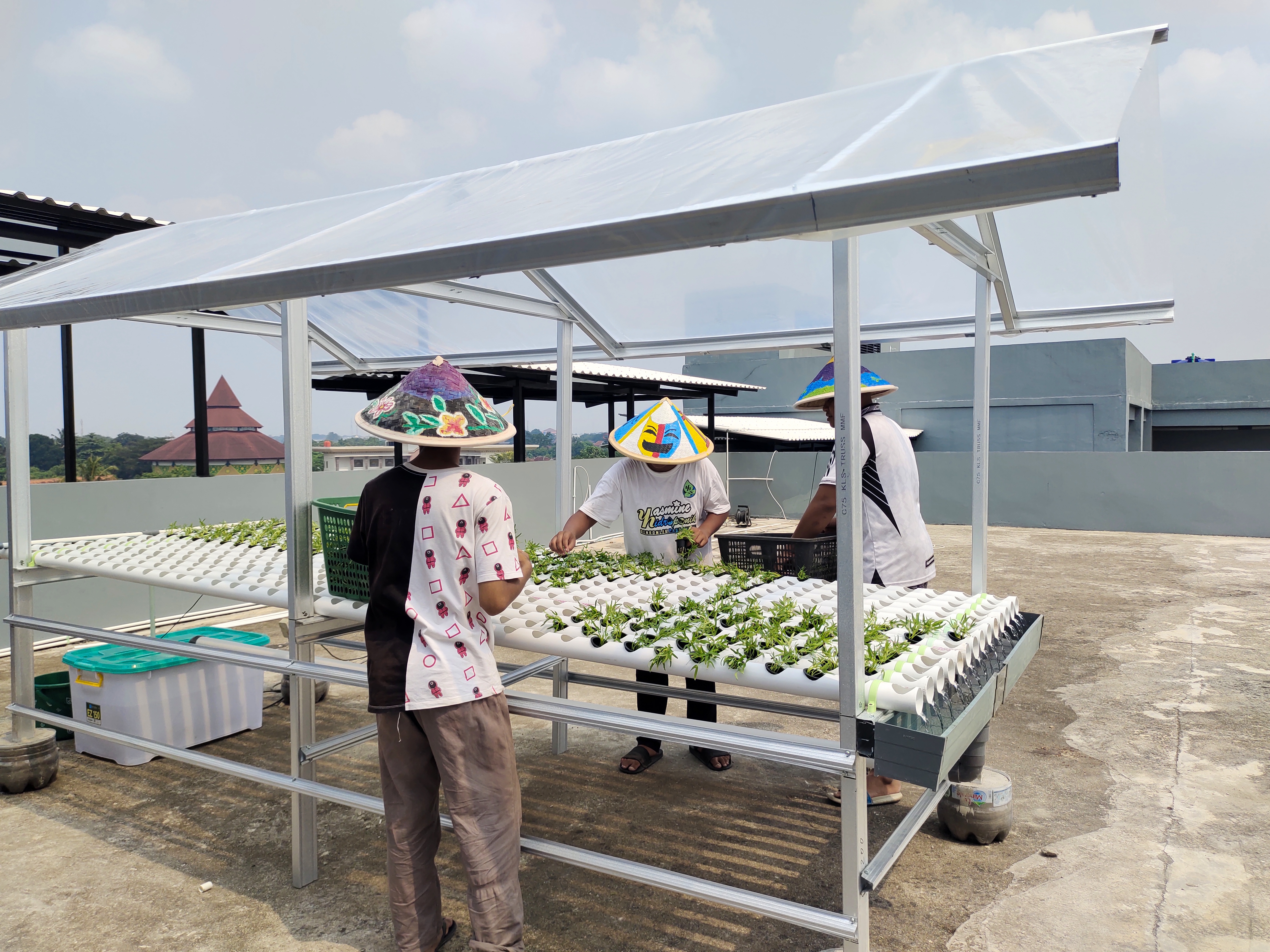KEBUN SMKN 74 JAGAKARSA JAKARTA SELATAN - Gambar 553