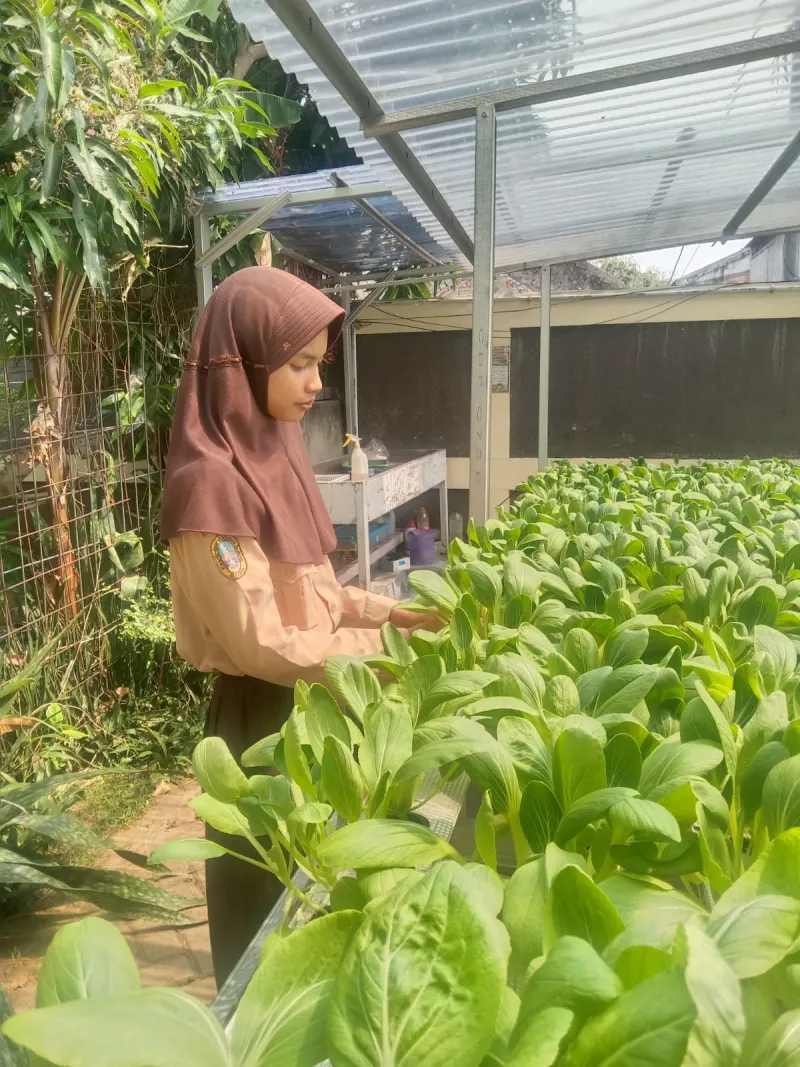 Lahan Urban Farming SDN Lenteng Agung 07 Jakarta - Gambar 14