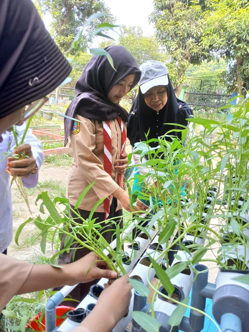 Lahan Urban Farming SMAN 109 Jakarta - Gambar 20
