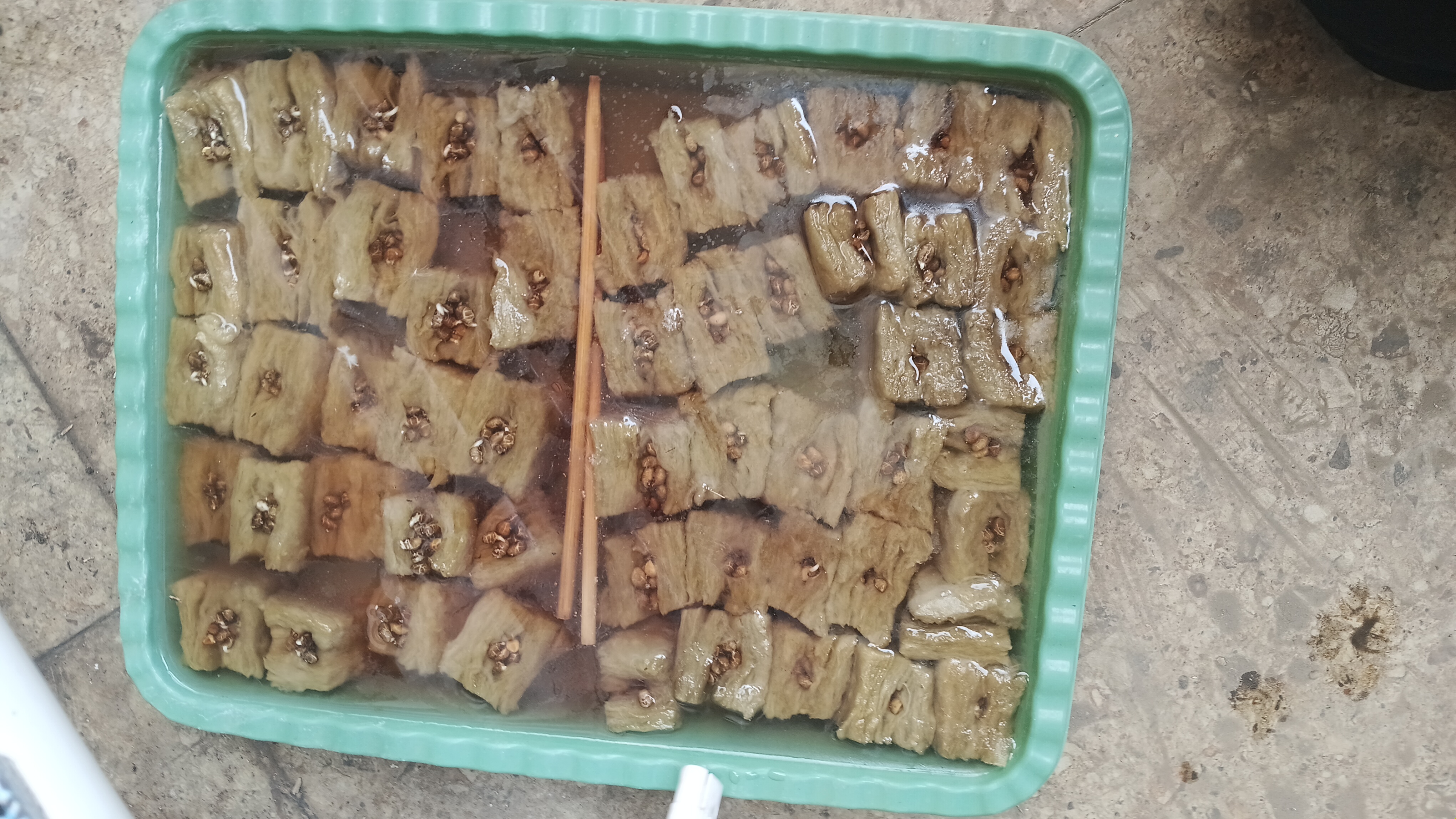 Lahan Urban Farming SMKN 41 Jakarta - Gambar 5
