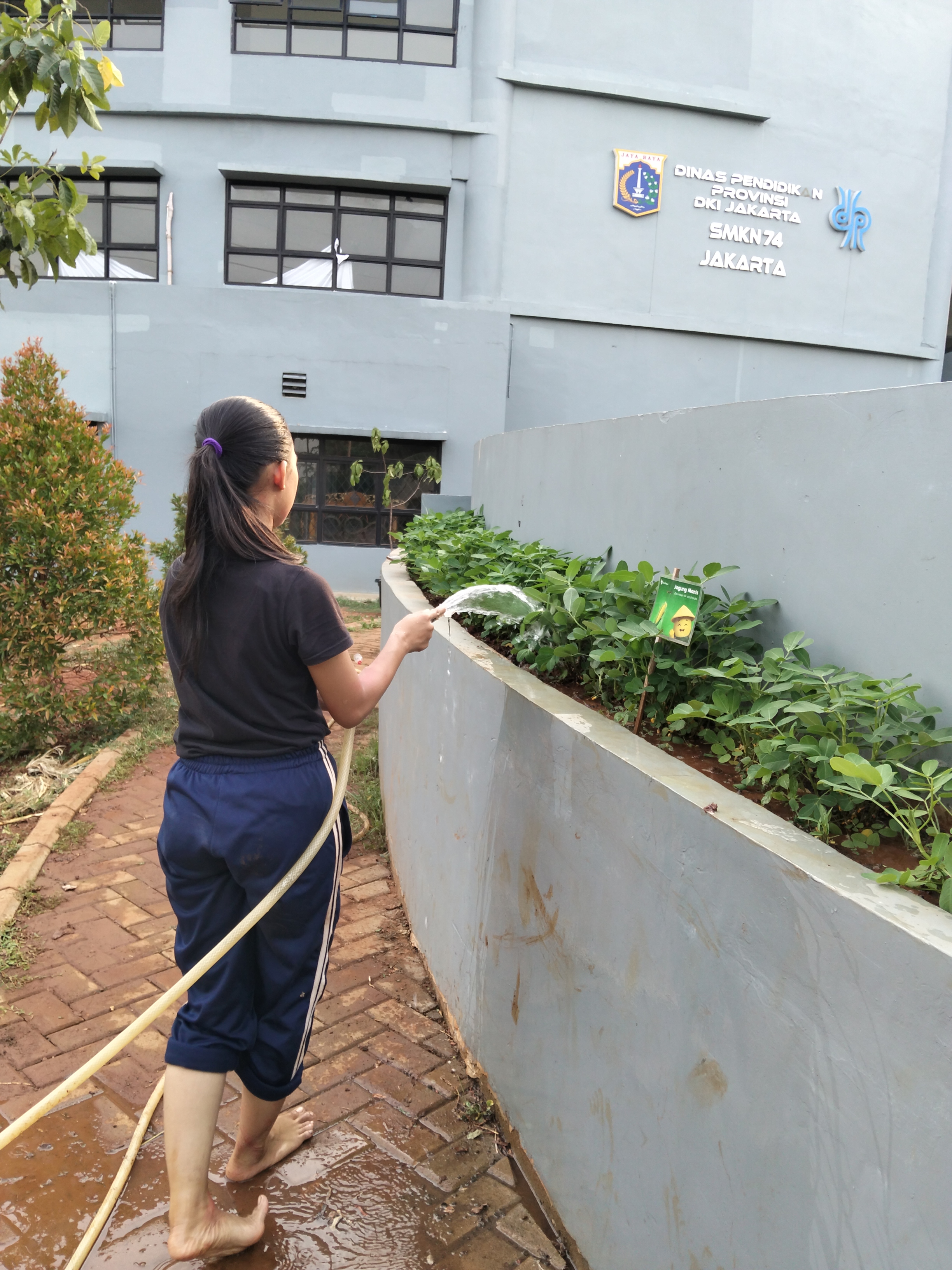 KEBUN SMKN 74 JAGAKARSA JAKARTA SELATAN - Gambar 8