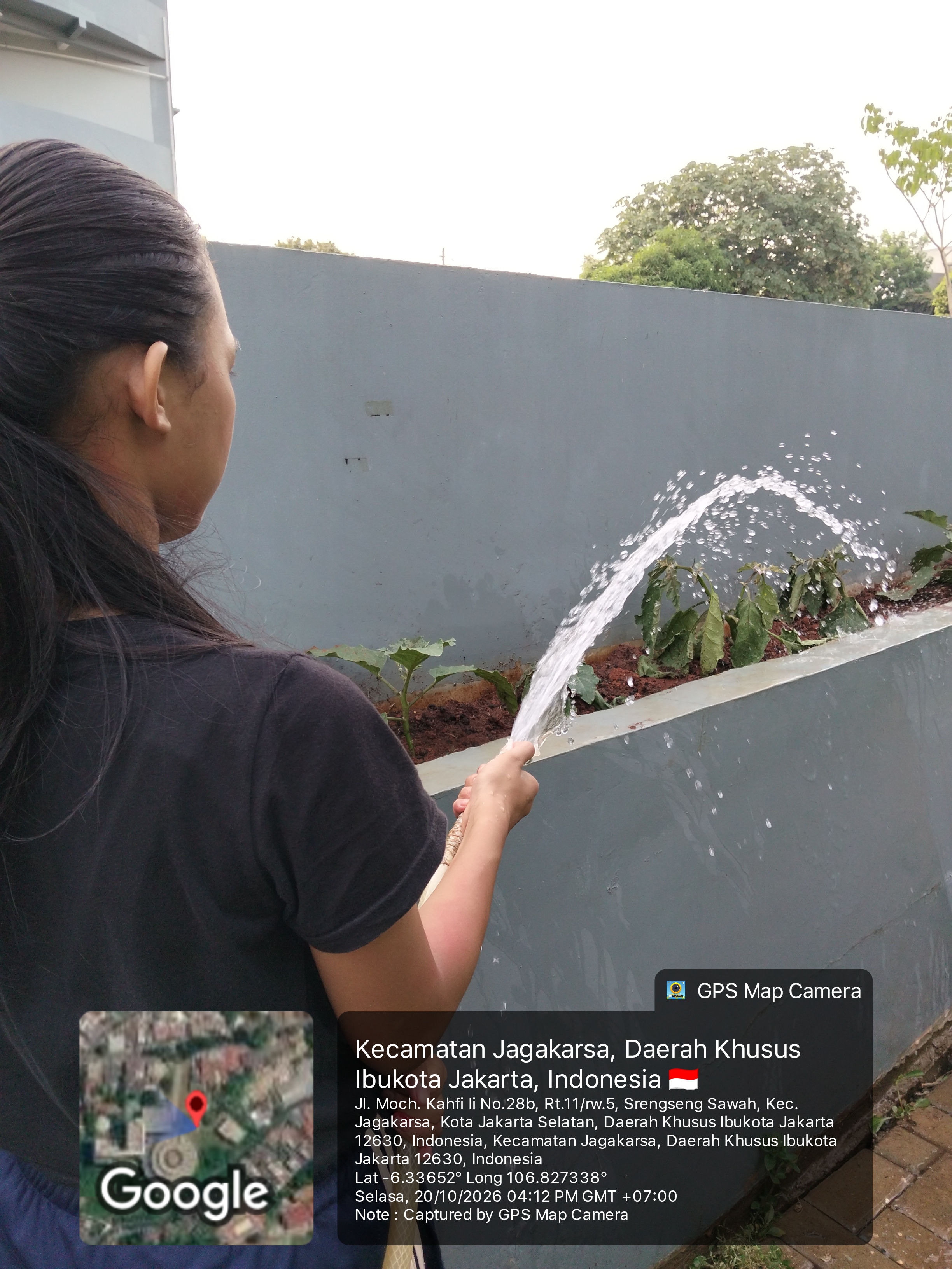 KEBUN SMKN 74 JAGAKARSA JAKARTA SELATAN - Gambar 7