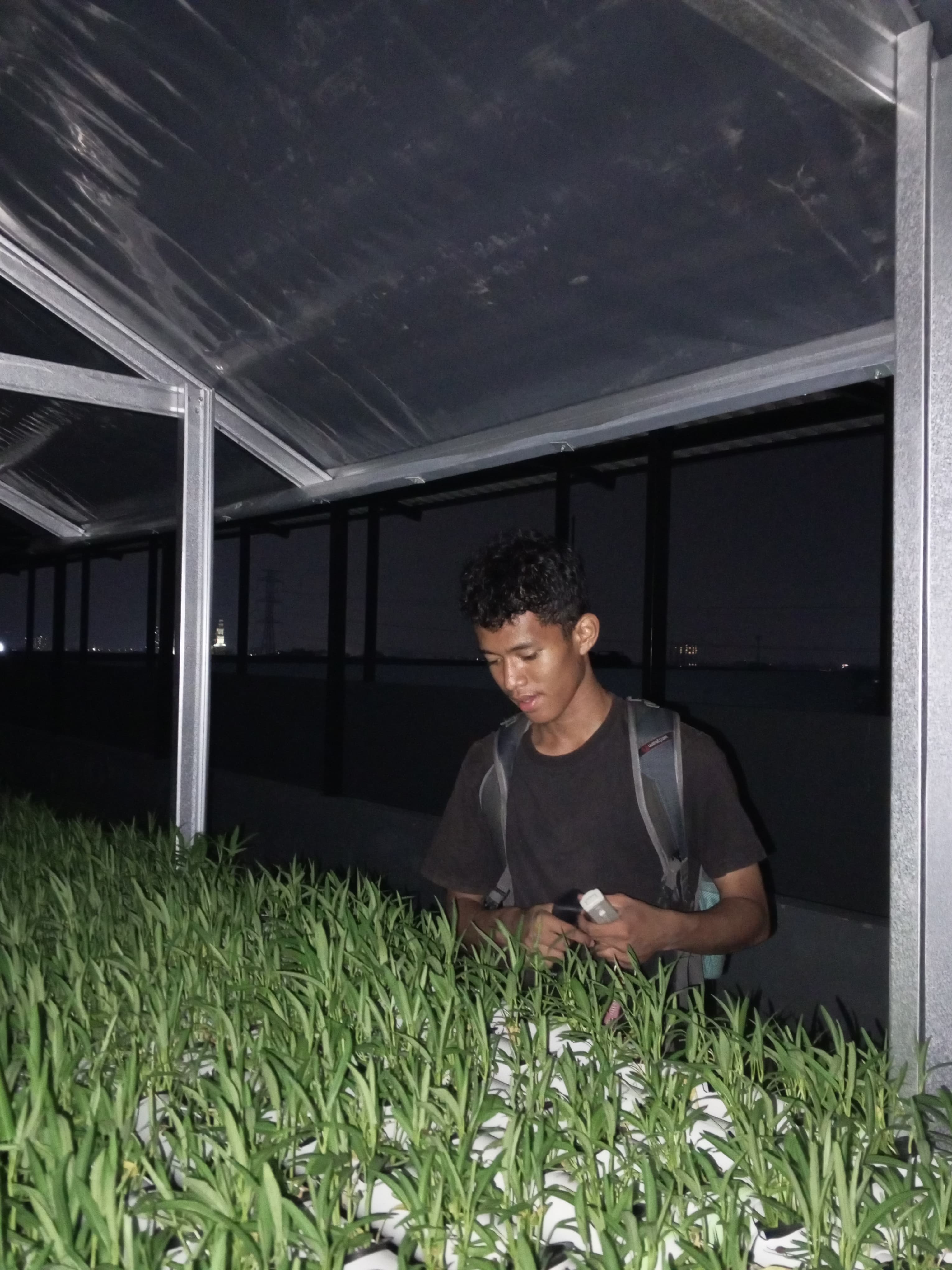 KEBUN SMKN 74 JAGAKARSA JAKARTA SELATAN - Gambar 539