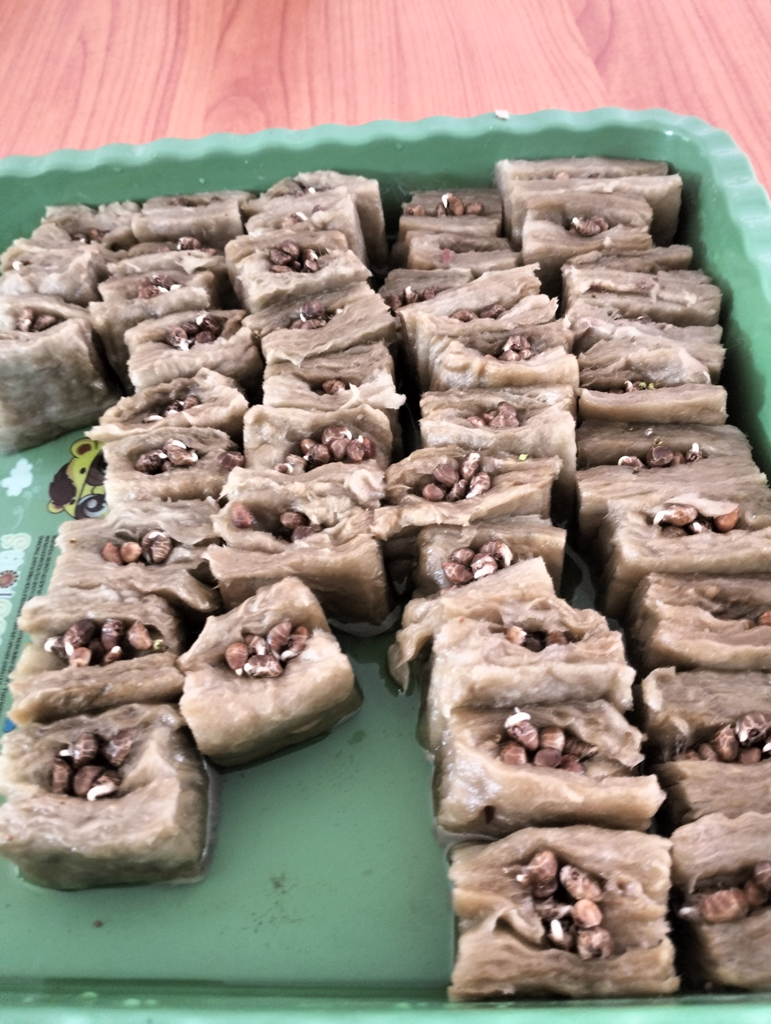 Lahan Urban Farming SLB A Pembina Tingkat Nasional - Gambar 9