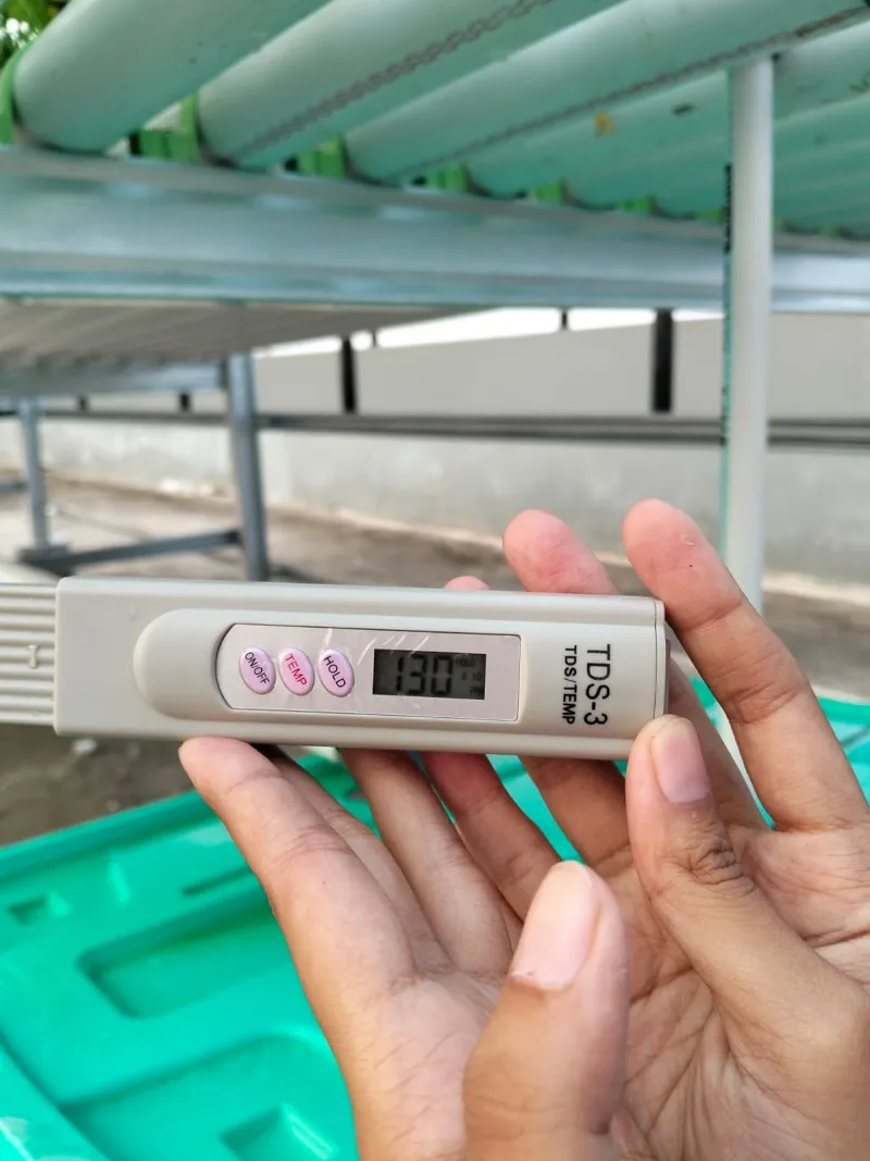 KEBUN SMKN 74 JAGAKARSA JAKARTA SELATAN - Gambar 536