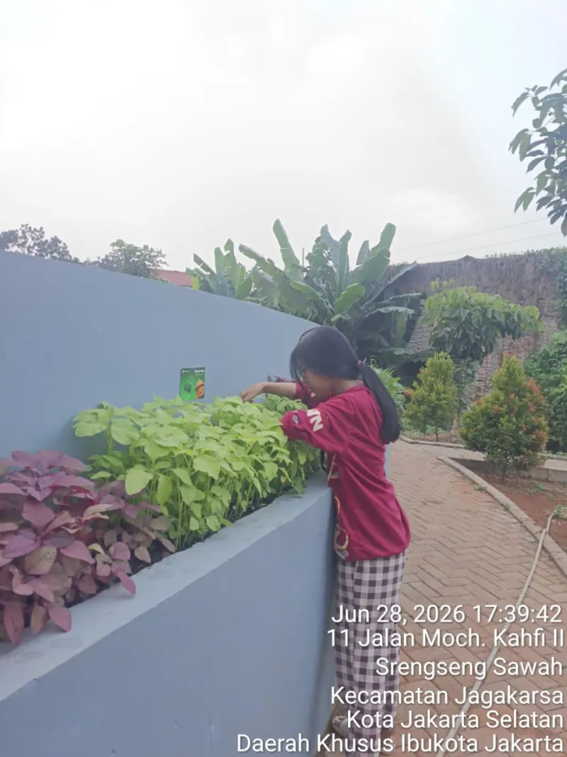 KEBUN SMKN 74 JAGAKARSA JAKARTA SELATAN - Gambar 537