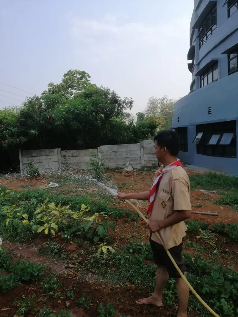KEBUN SMKN 74 JAGAKARSA JAKARTA SELATAN - Gambar 3