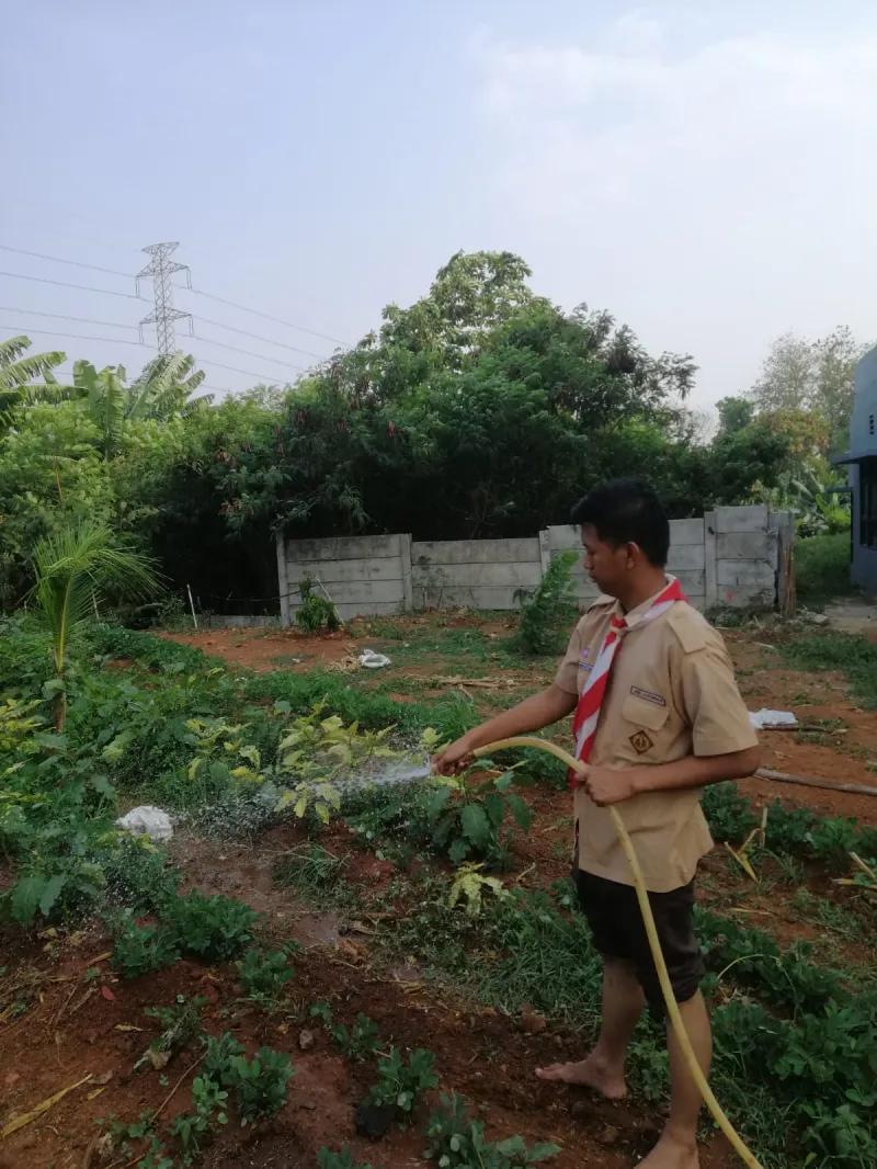 KEBUN SMKN 74 JAGAKARSA JAKARTA SELATAN - Gambar 4