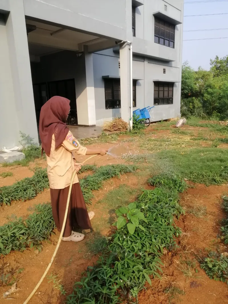 KEBUN SMKN 74 JAGAKARSA JAKARTA SELATAN - Gambar 1
