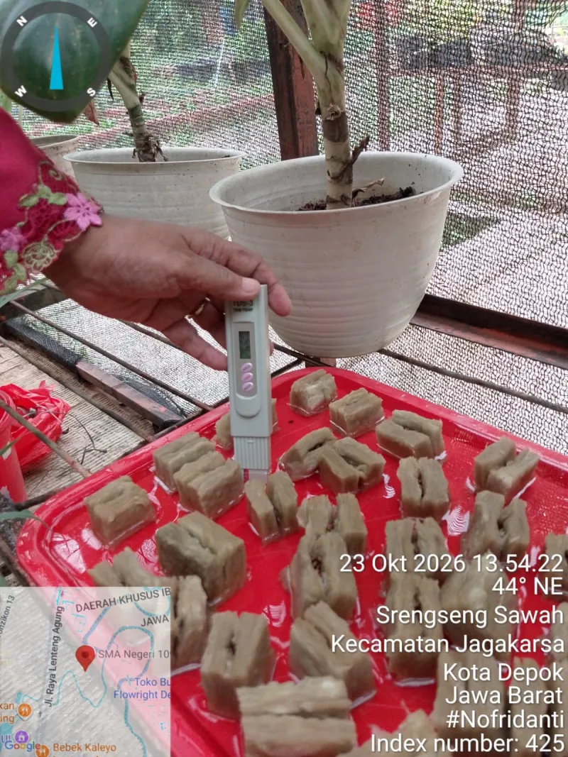 Lahan Urban Farming SMAN 109 Jakarta - Gambar 13