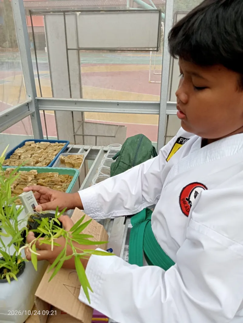 Lahan Urban Farming SDN Cipulir 03 - Gambar 4