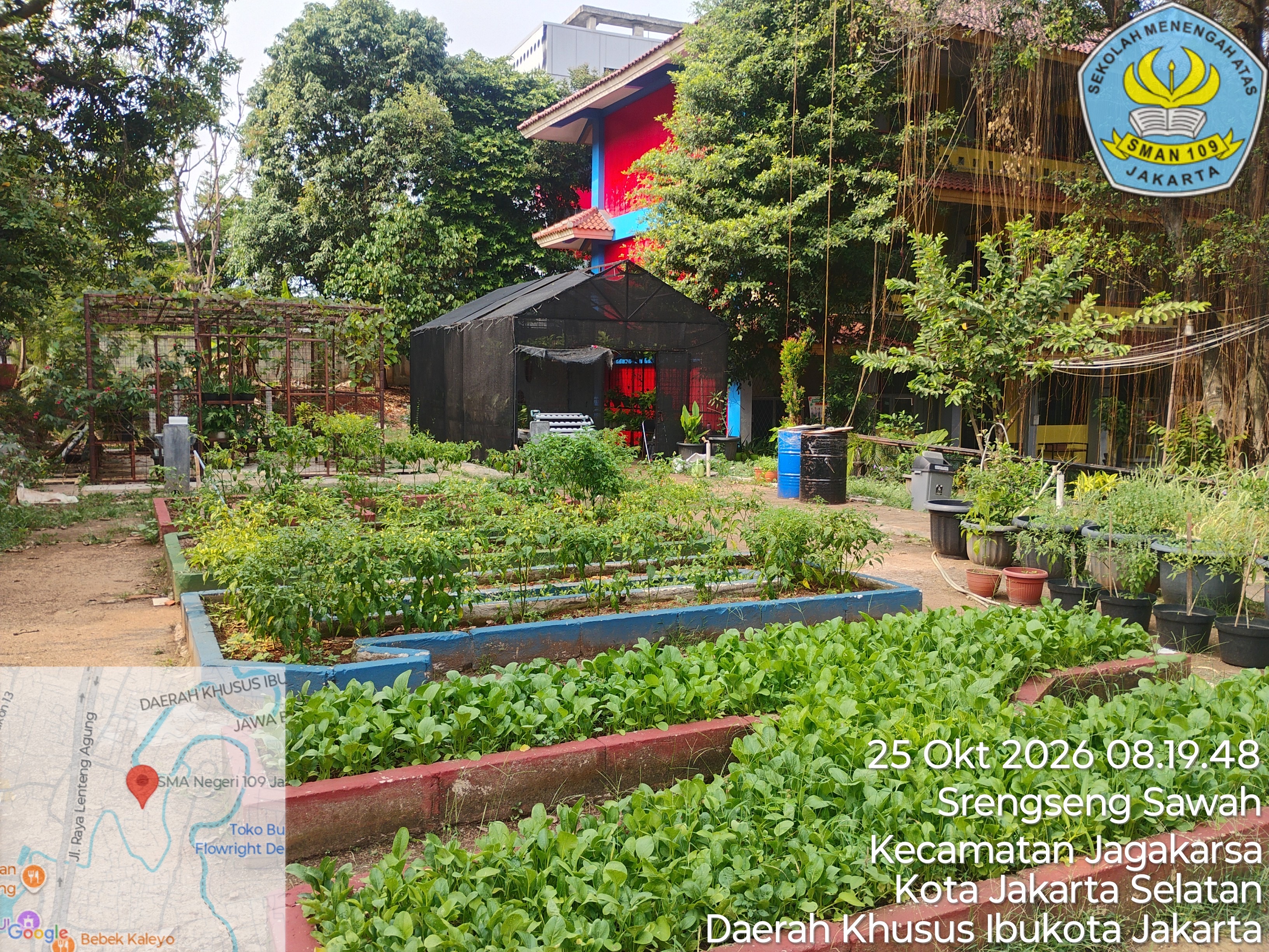 Lahan Urban Farming SMAN 109 Jakarta - Gambar 7
