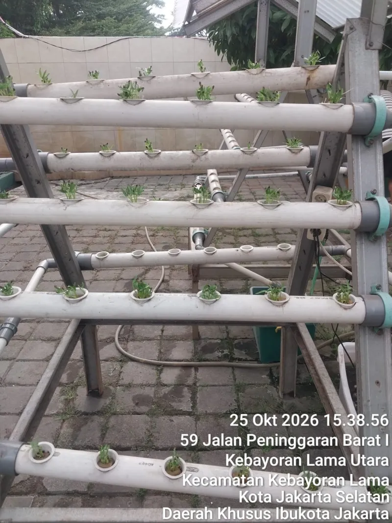 Lahan Urban Farming SMKN 59 Jakarta - Gambar 17