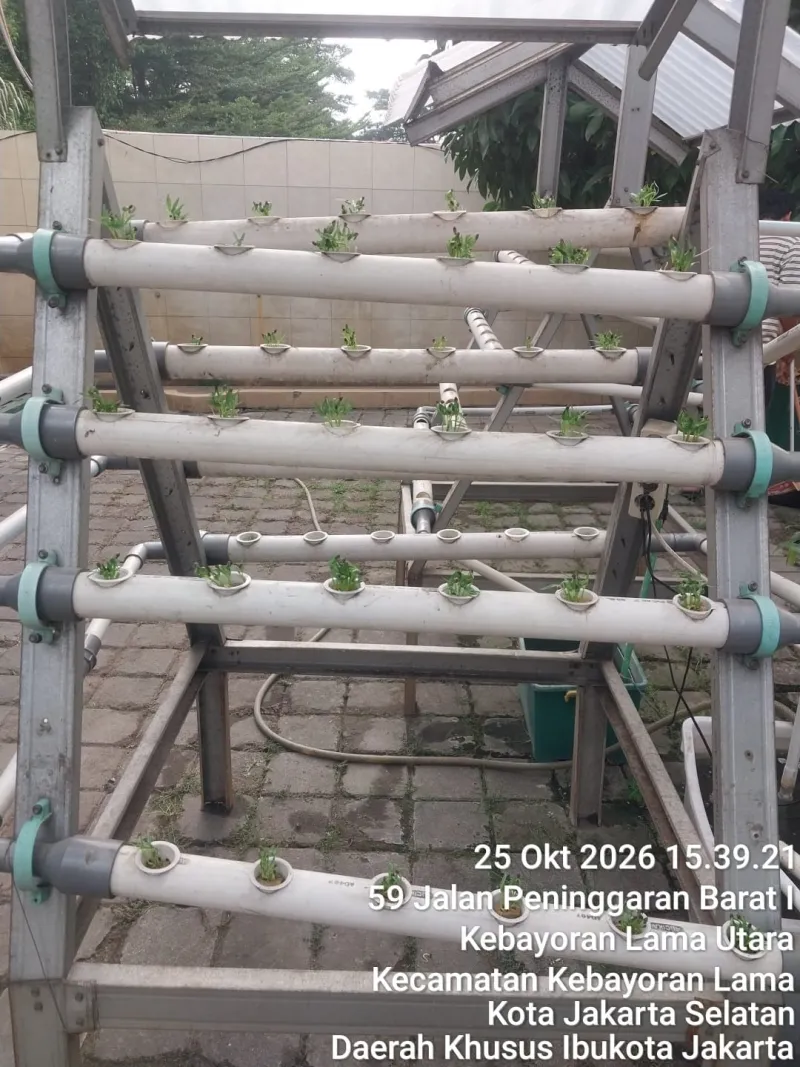 Lahan Urban Farming SMKN 59 Jakarta - Gambar 18