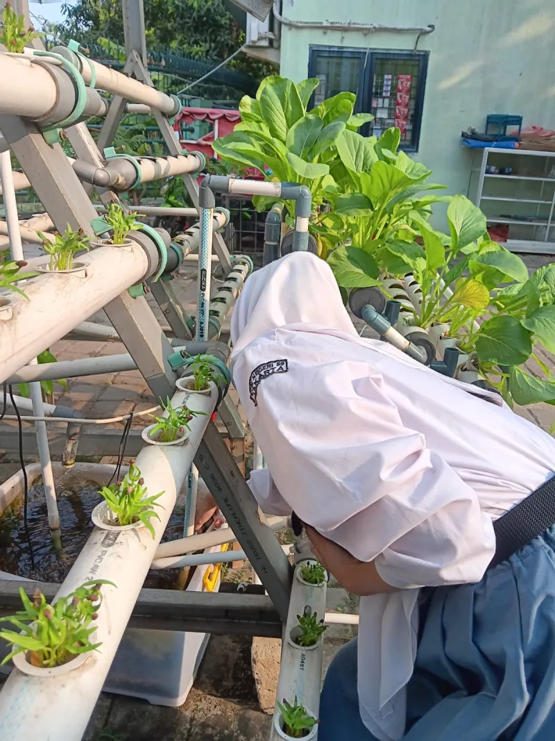 Lahan Urban Farming SMKN 59 Jakarta - Gambar 14