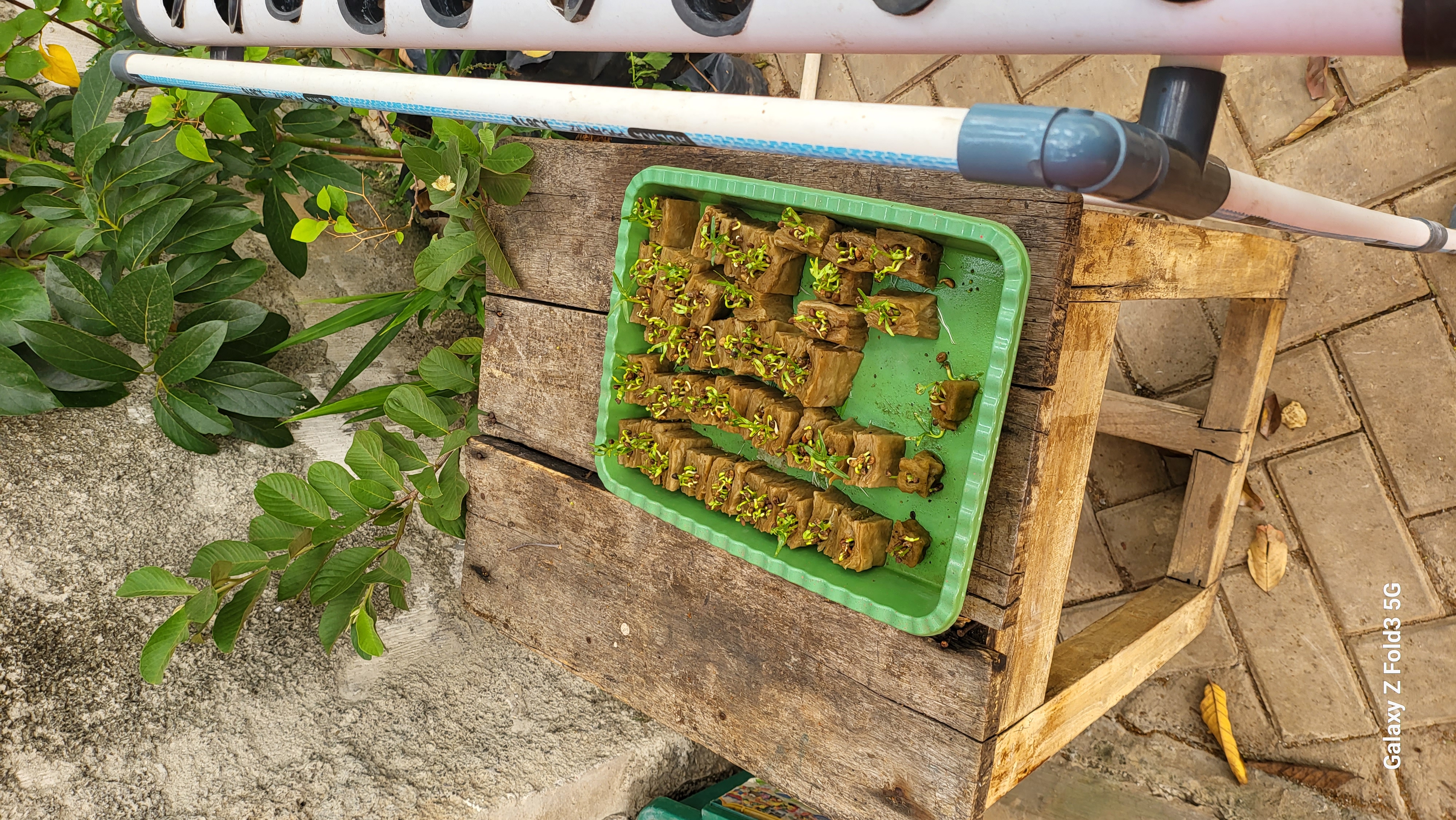 Lahan Urban Farming SDN Bintaro 09 - Gambar 19