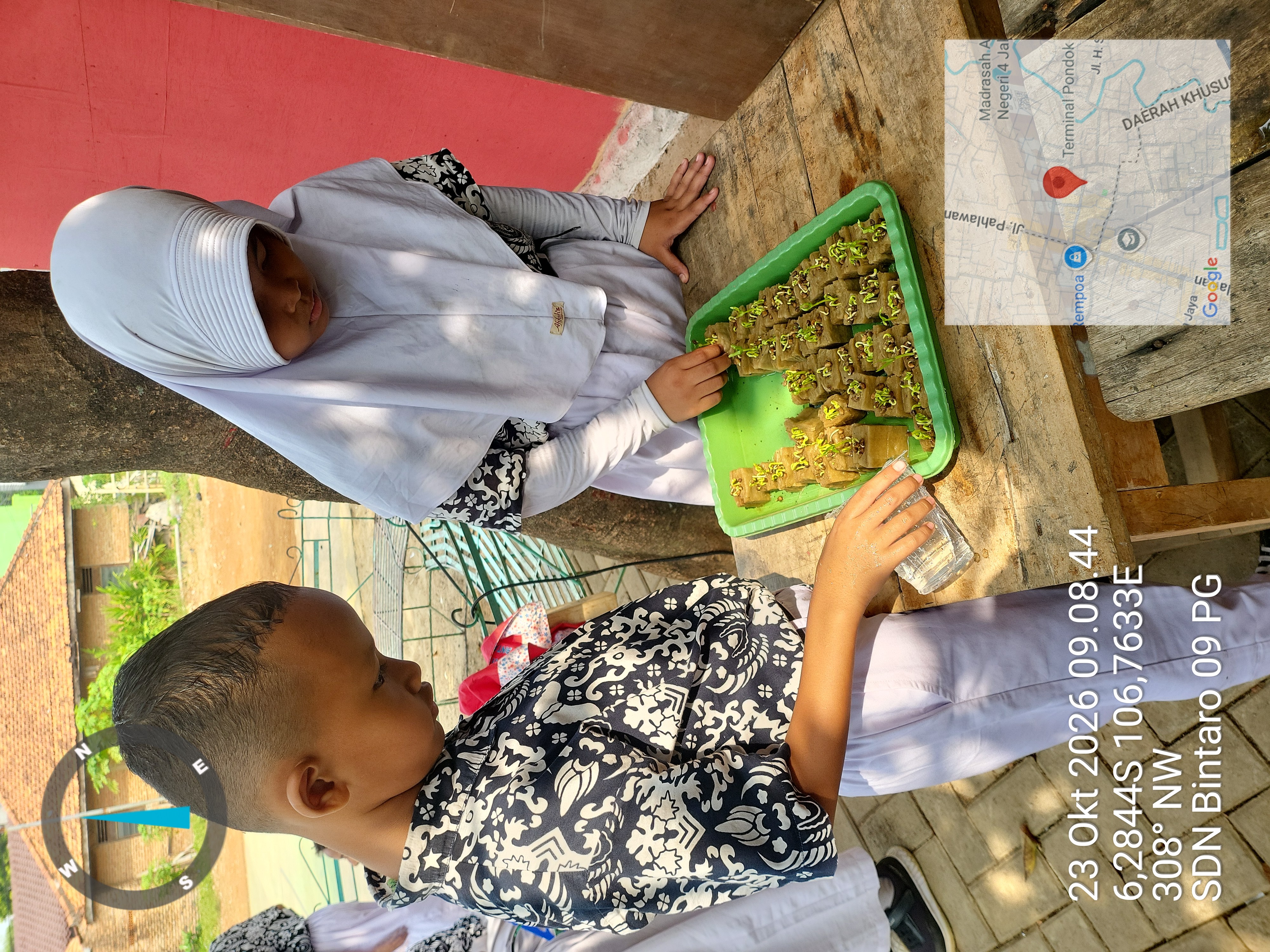 Lahan Urban Farming SDN Bintaro 09 - Gambar 15