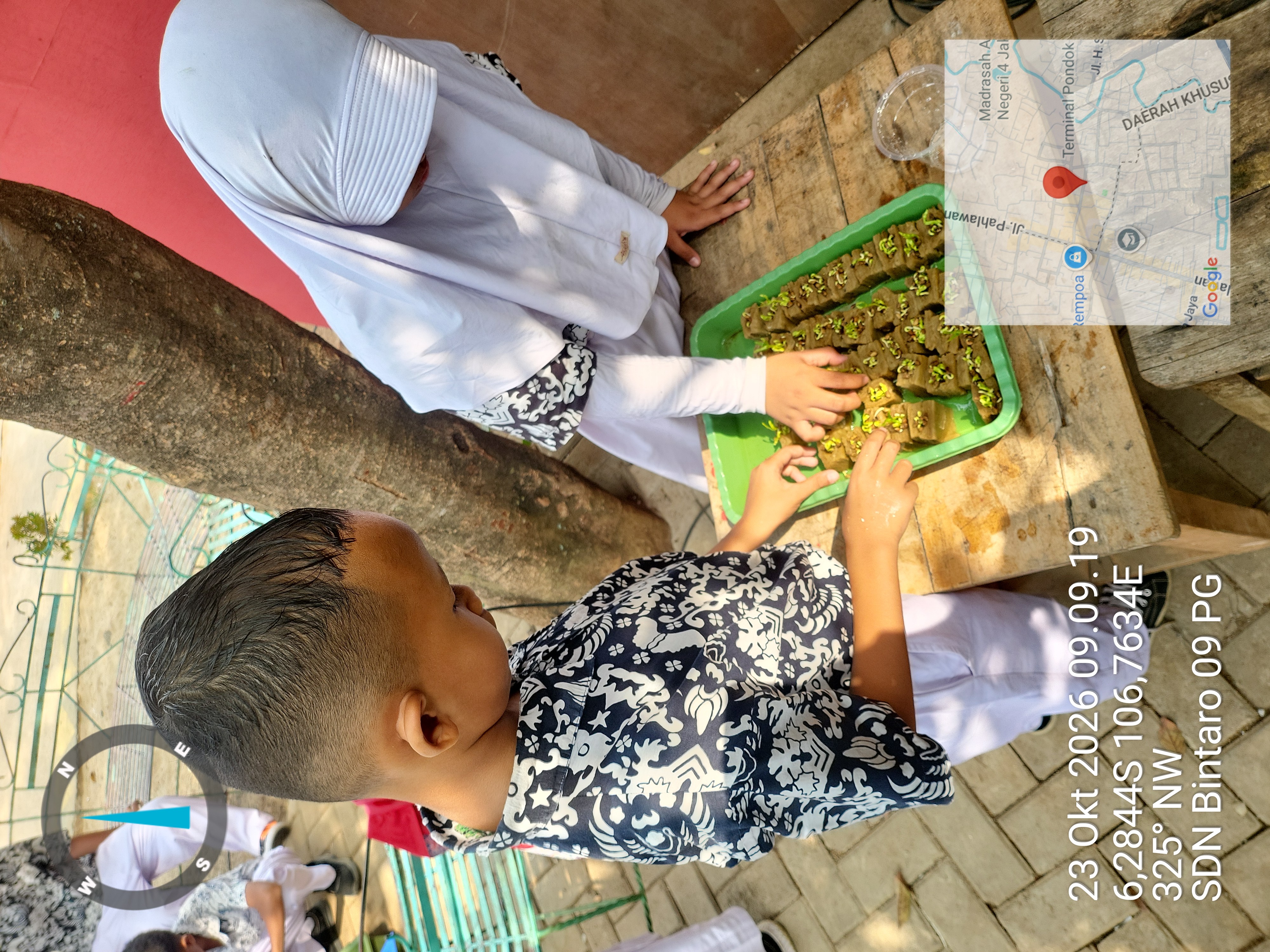 Lahan Urban Farming SDN Bintaro 09 - Gambar 16