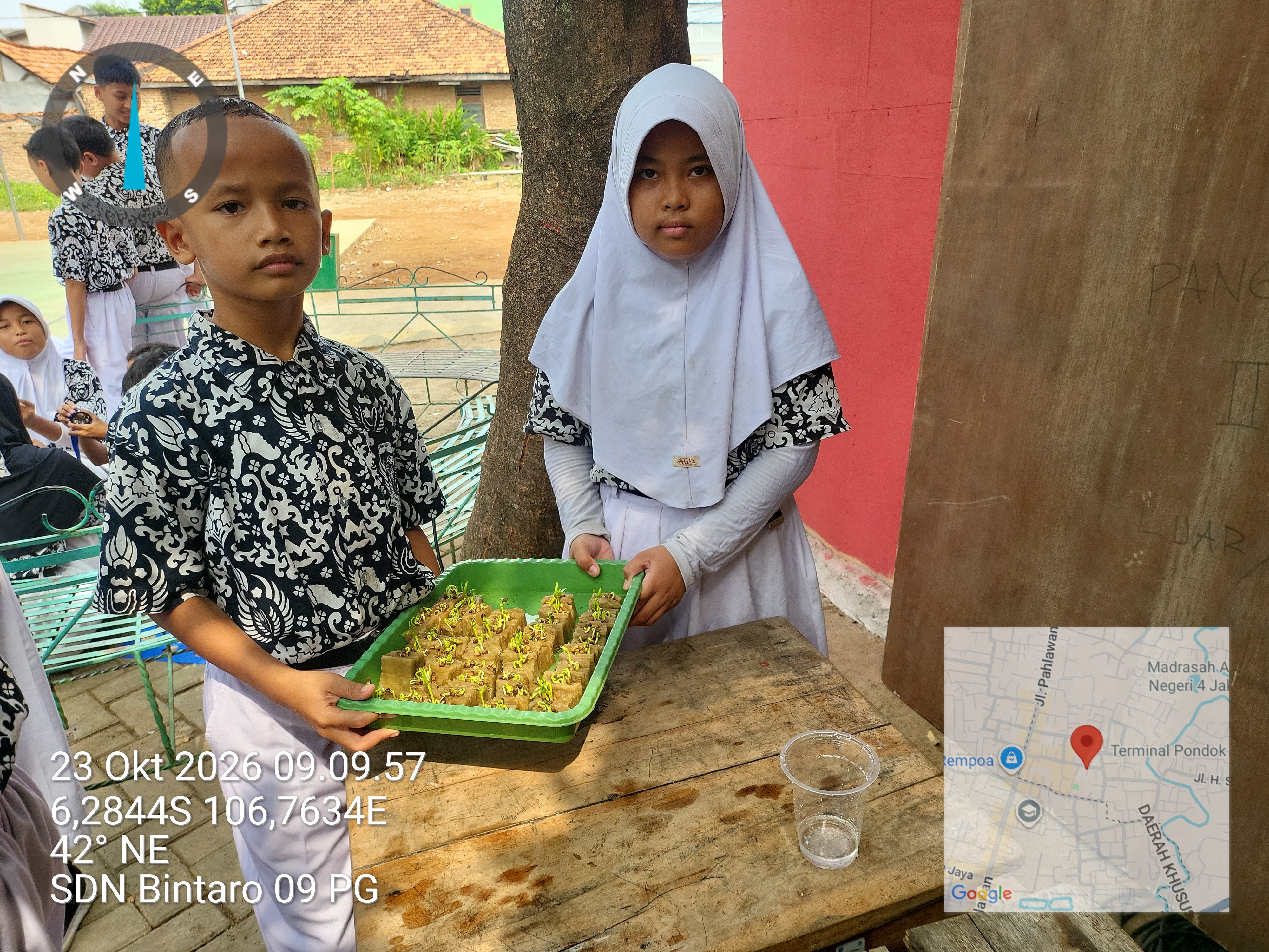 Lahan Urban Farming SDN Bintaro 09 - Gambar 17