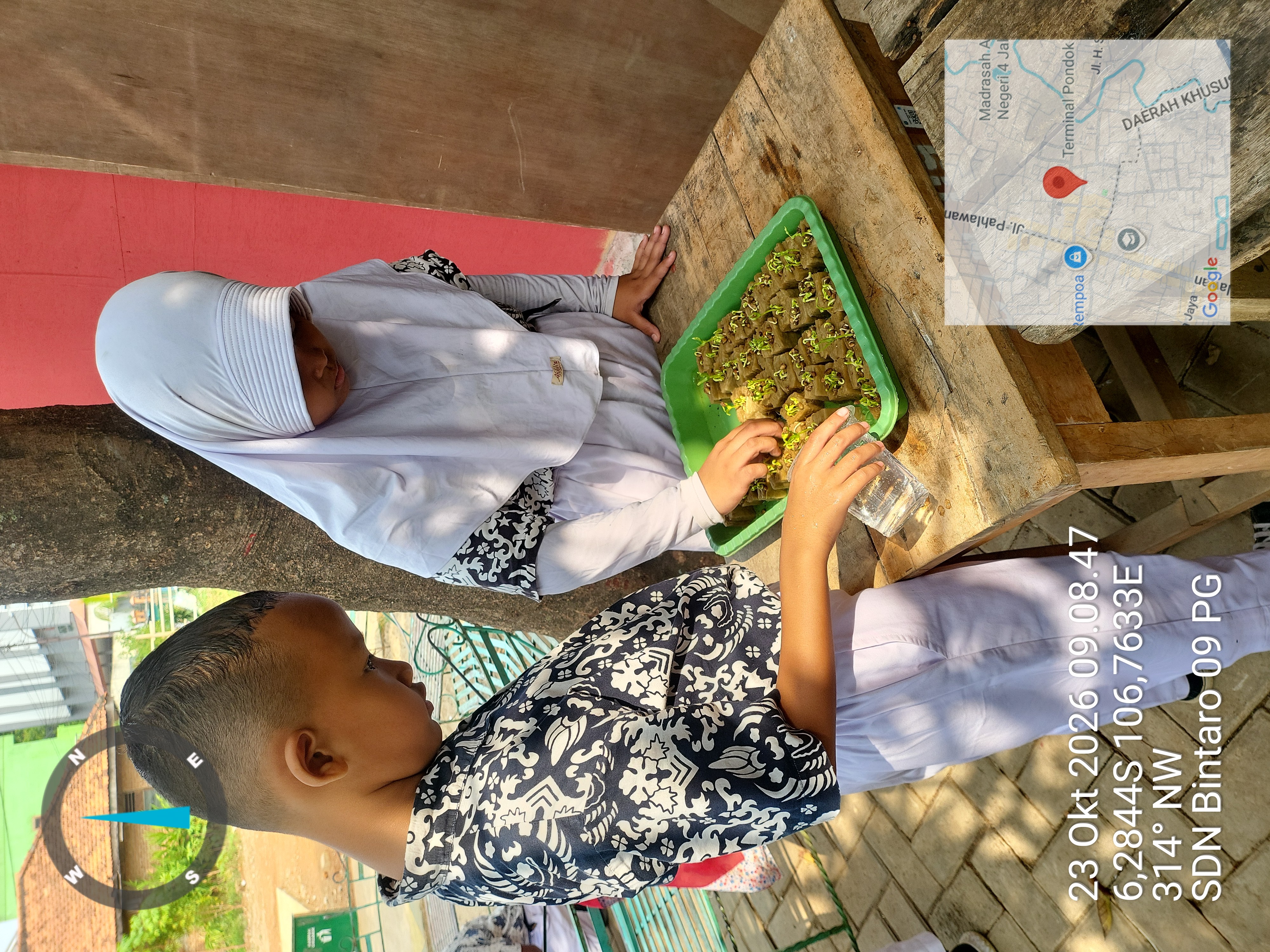 Lahan Urban Farming SDN Bintaro 09 - Gambar 14