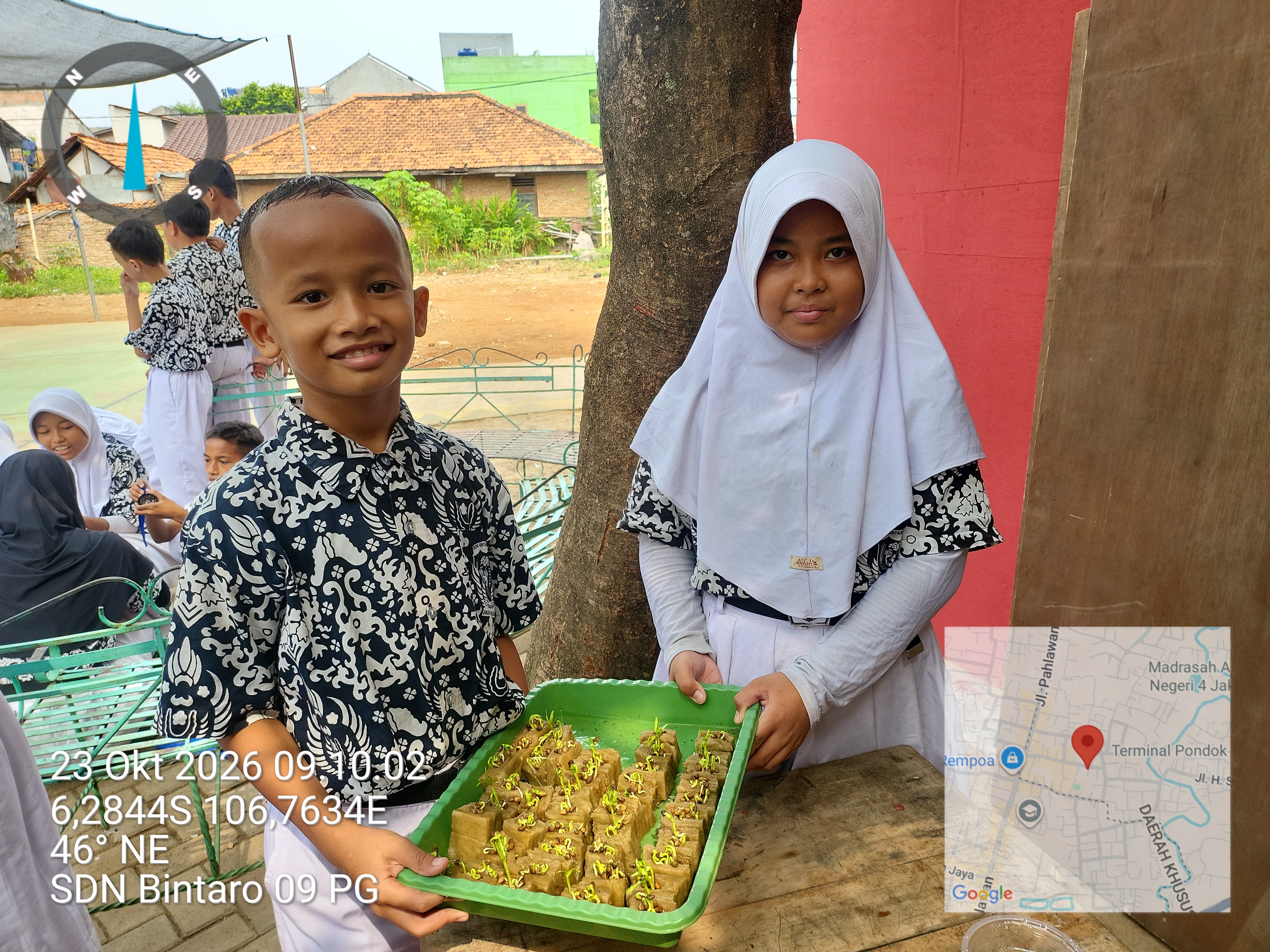 Lahan Urban Farming SDN Bintaro 09 - Gambar 18