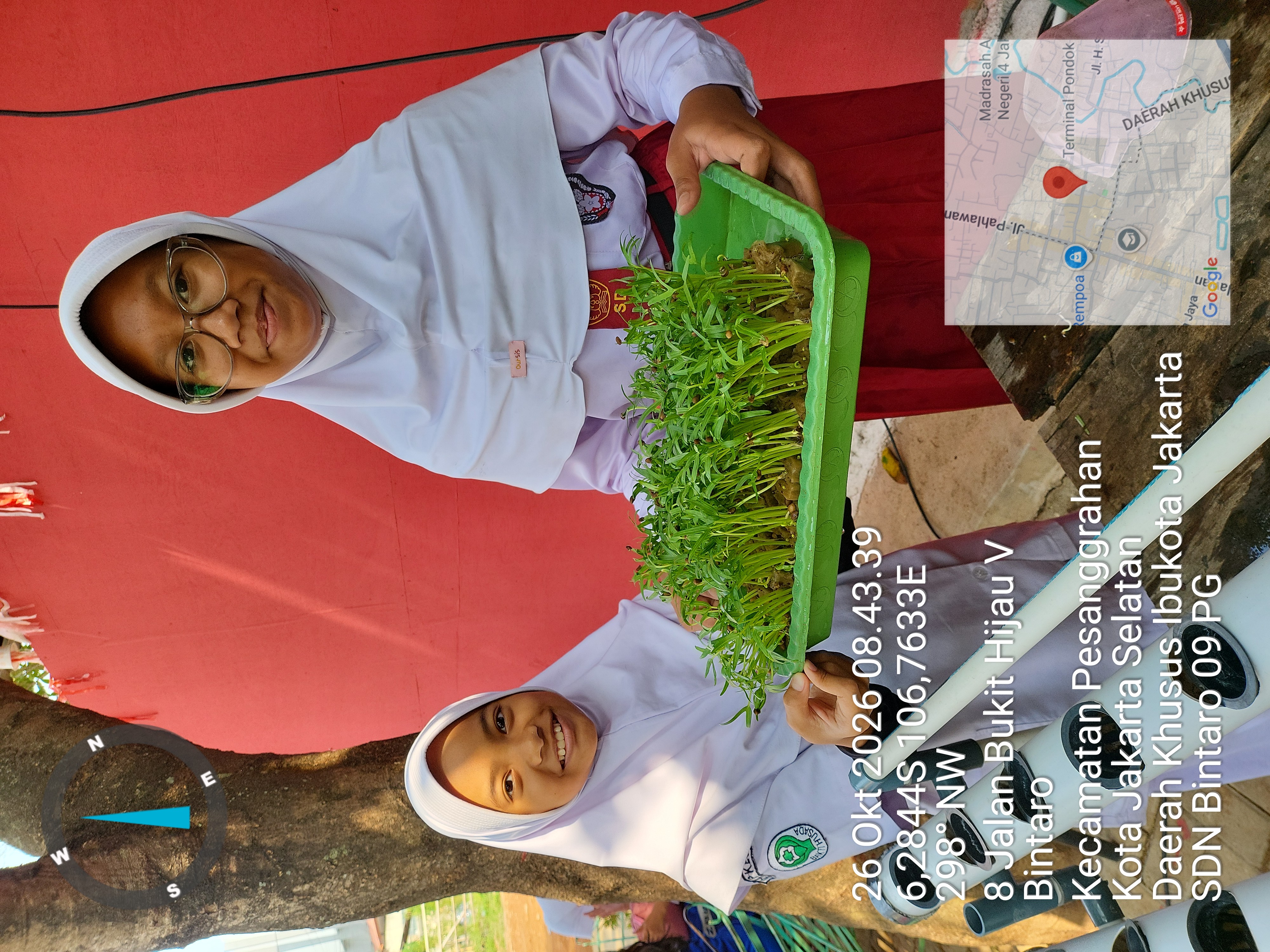 Lahan Urban Farming SDN Bintaro 09 - Gambar 8