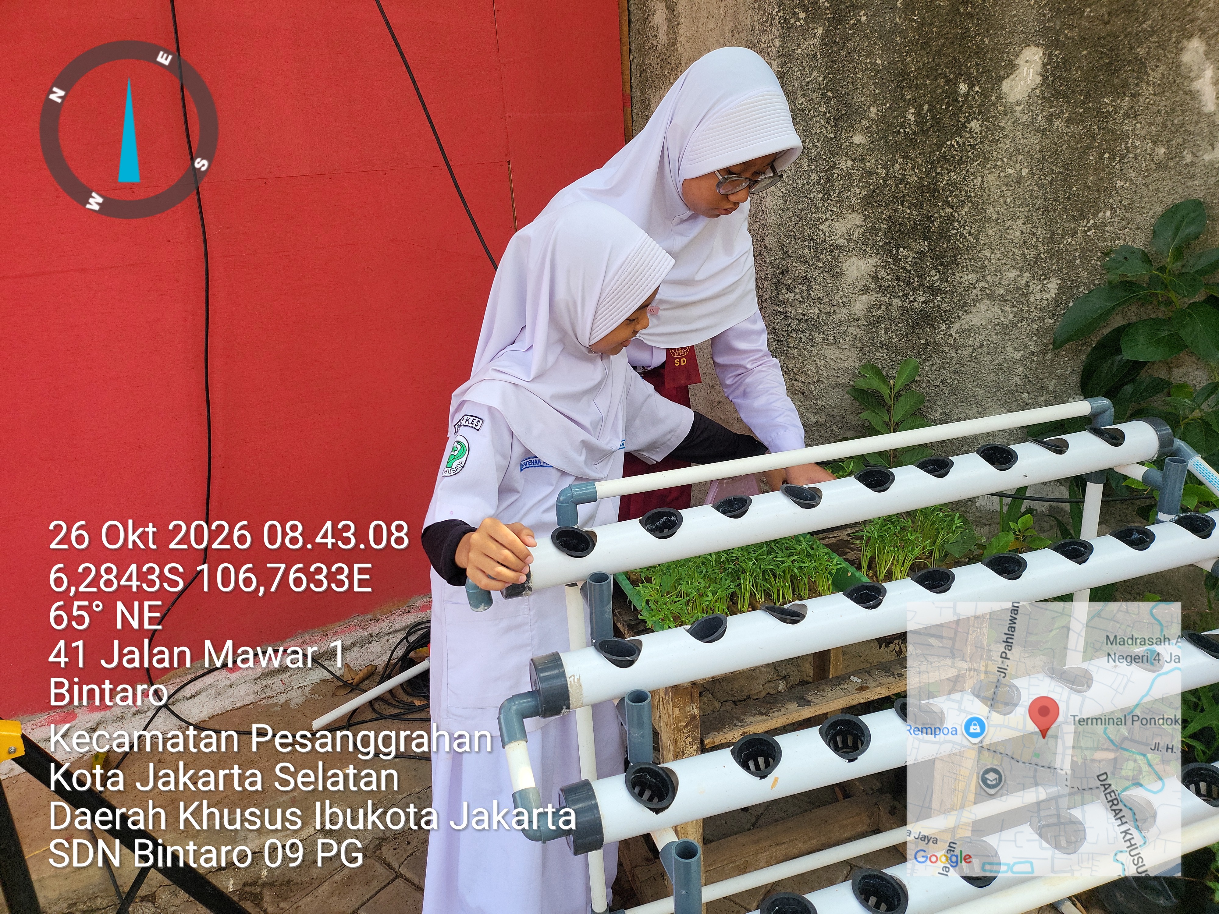 Lahan Urban Farming SDN Bintaro 09 - Gambar 7