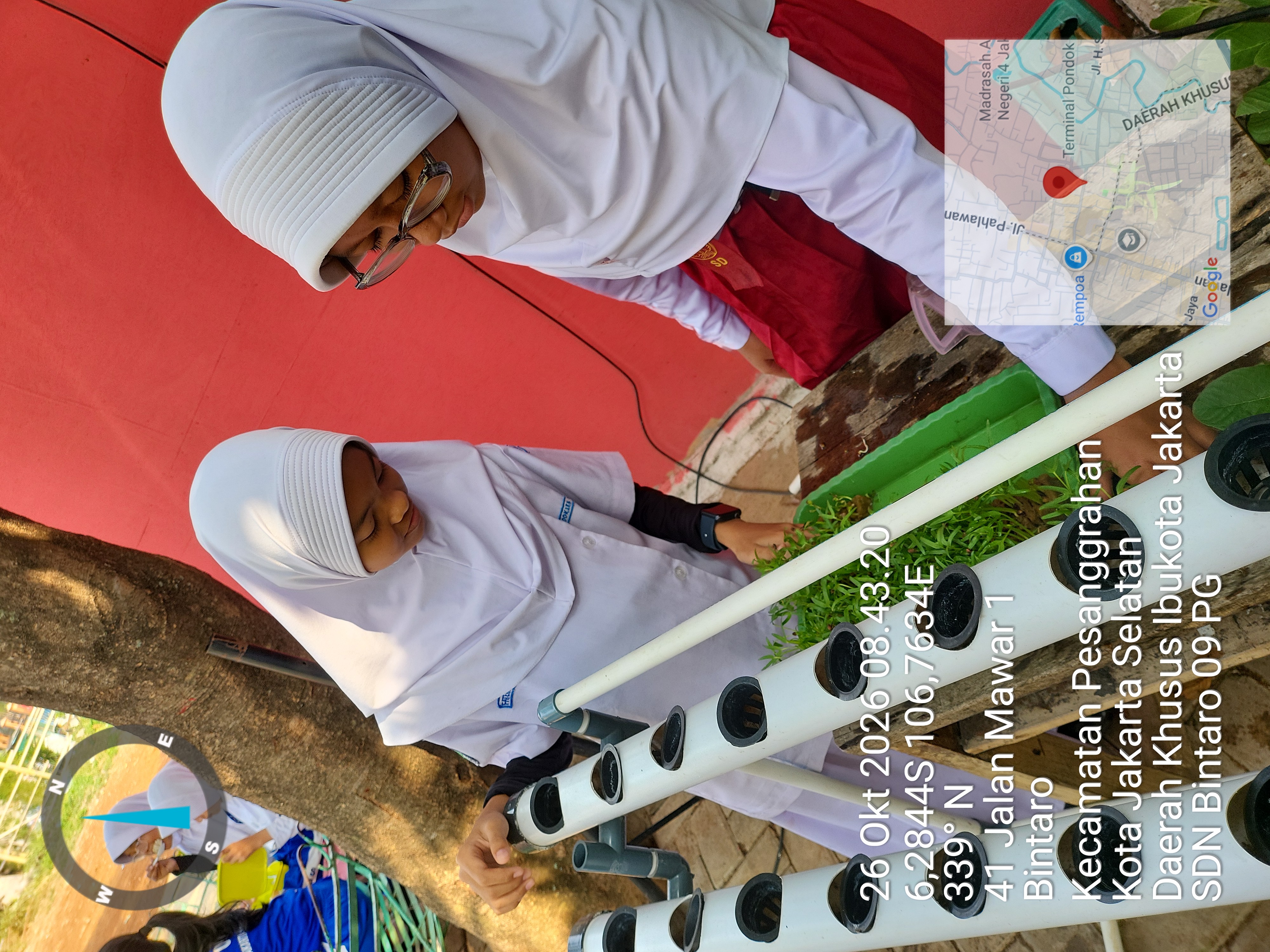 Lahan Urban Farming SDN Bintaro 09 - Gambar 6