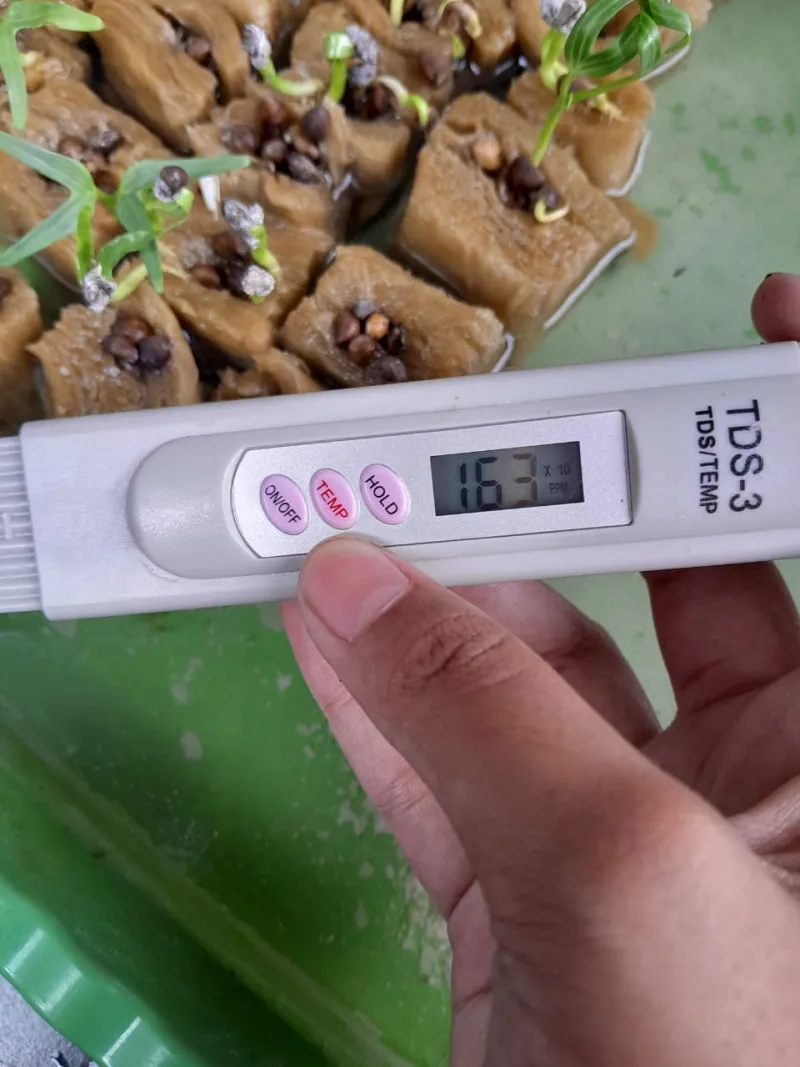 Lahan Urban Farming SDN Cipete Selatan 03 - Gambar 6