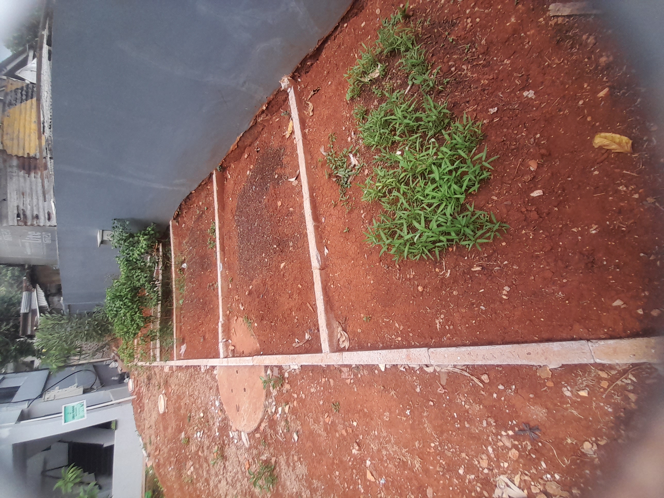 Lahan Urban Farming SMAN 116 Jakarta - Gambar 3