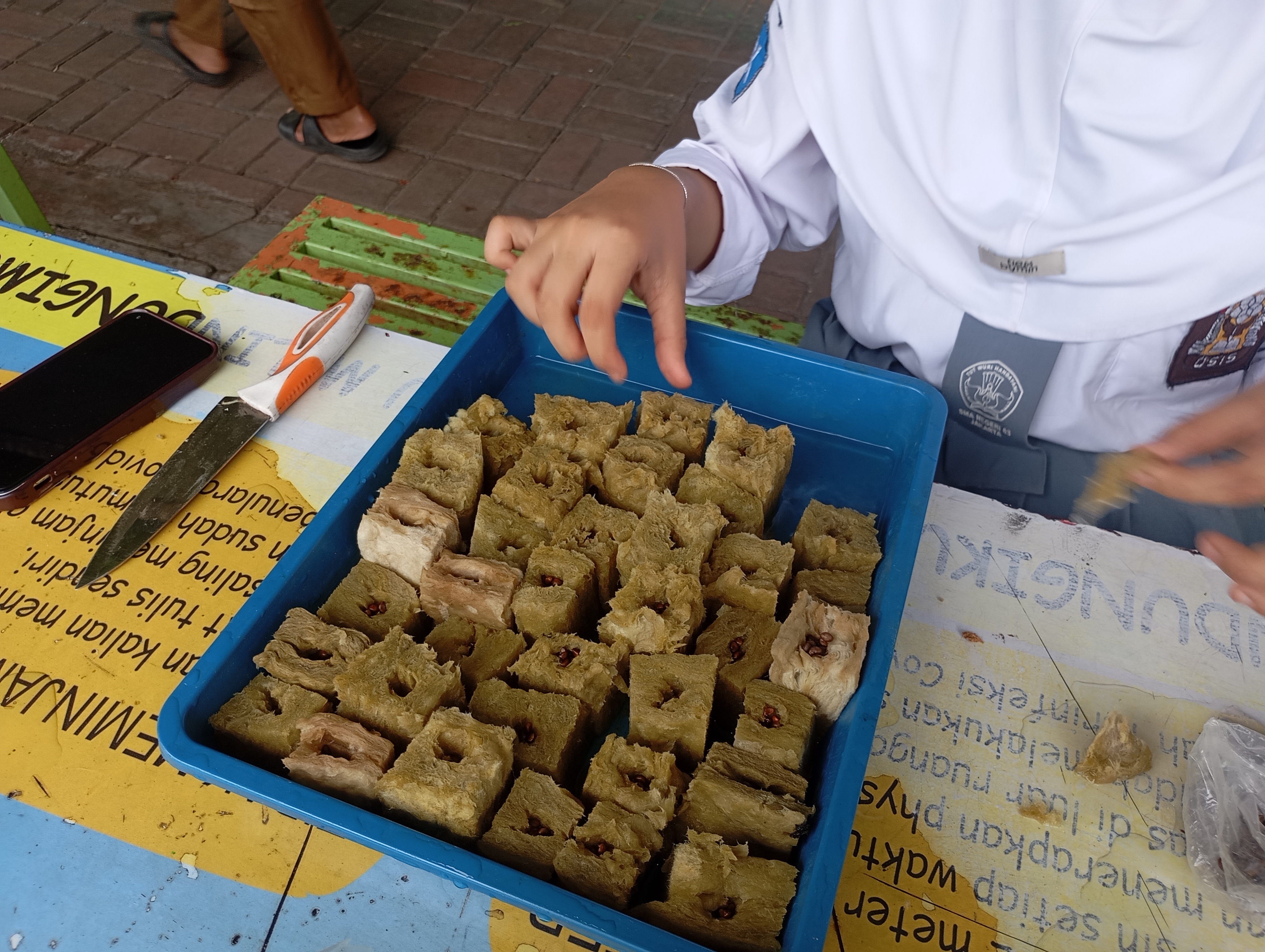 Lahan Urban Farming SMAN 63 Jakarta - Gambar 3