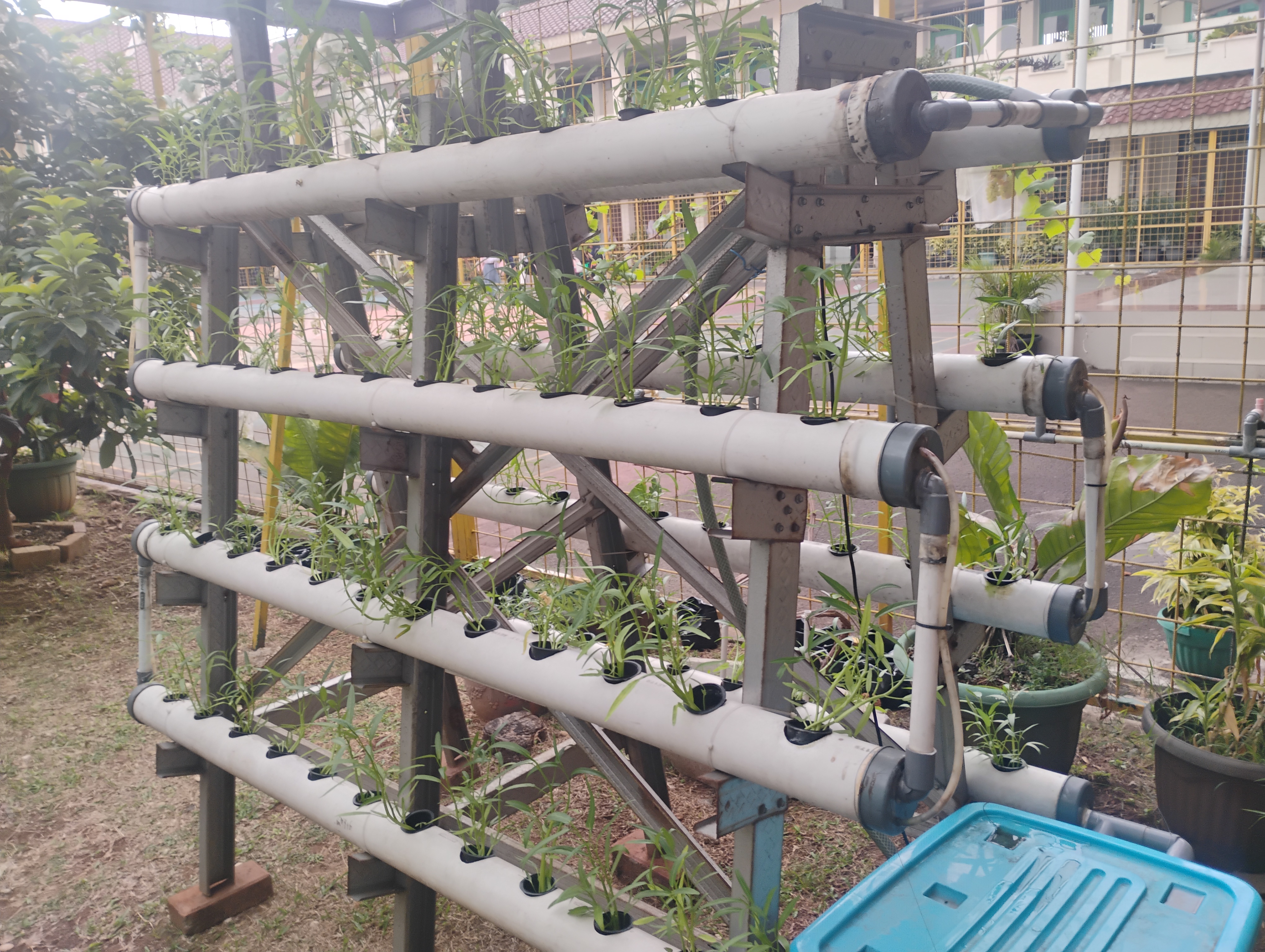 Lahan Urban Farming SMKN 62 Jakarta - Gambar 3