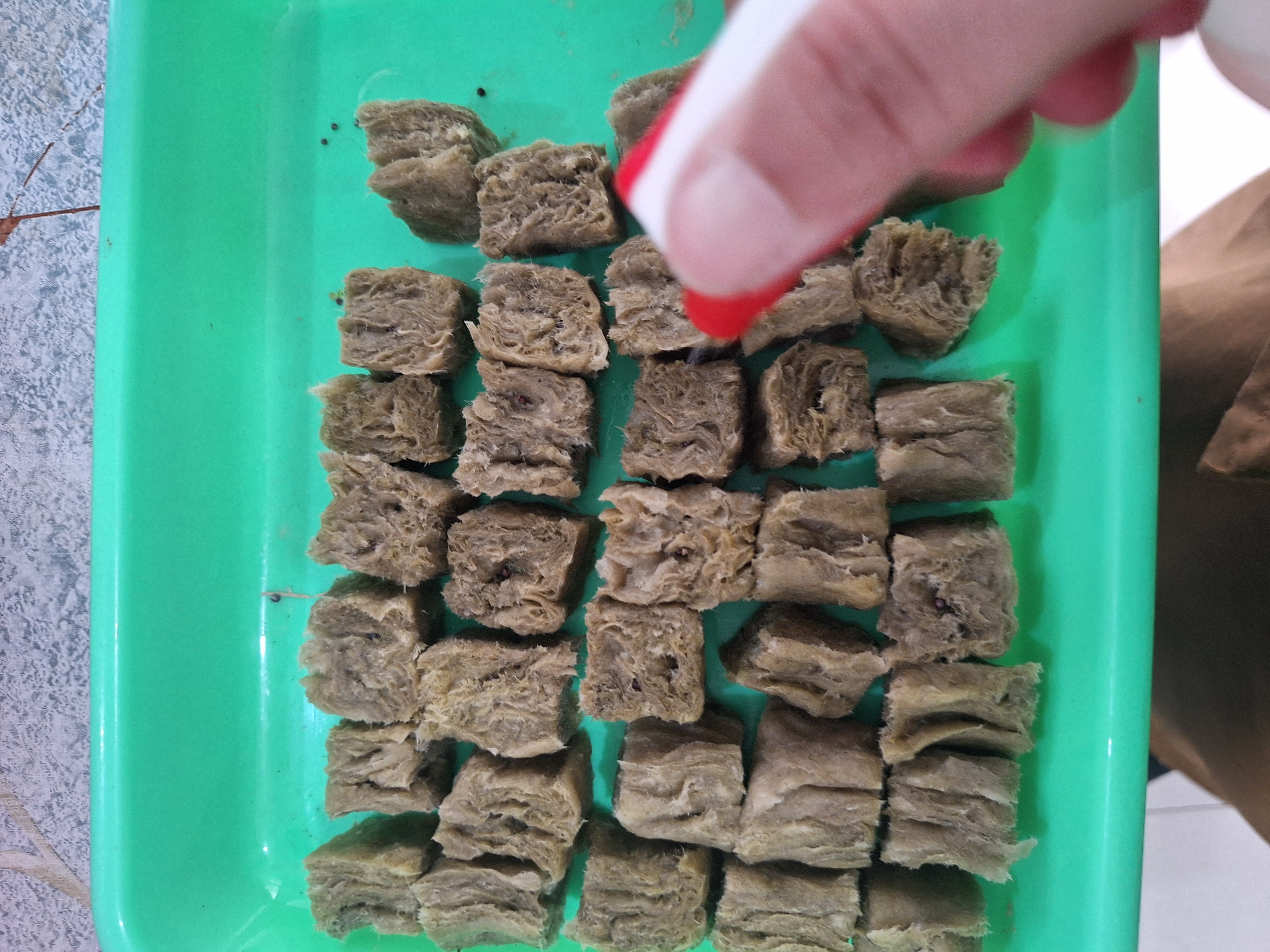 Lahan Urban Farming SMAN 34 Jakarta - Gambar 2