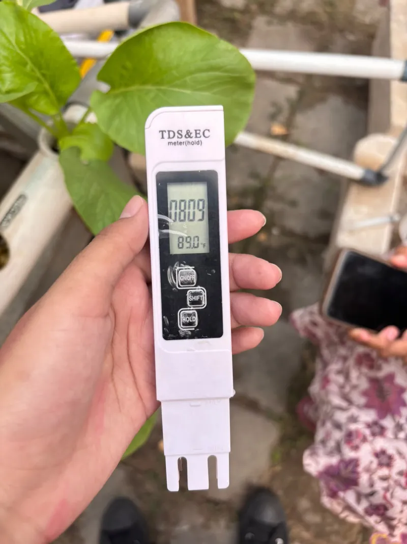 Lahan Urban Farming SMKN 59 Jakarta - Gambar 8