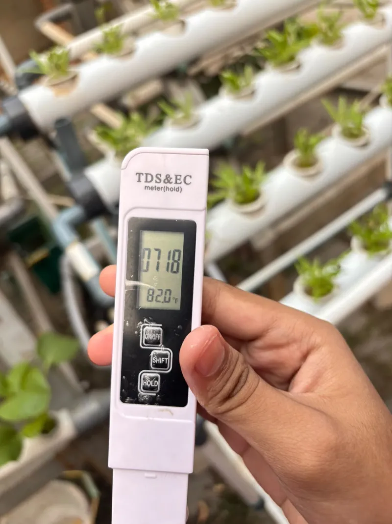 Lahan Urban Farming SMKN 59 Jakarta - Gambar 7
