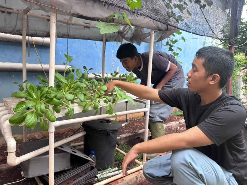 Lahan Urban Farming SLBN 01 Lebak Bulus - Gambar 5