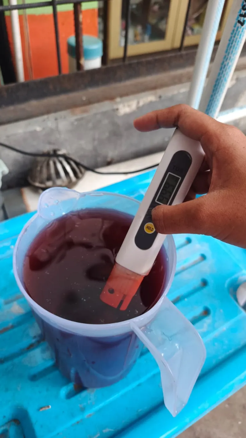 Lahan Urban Farming SMKN 41 Jakarta - Gambar 1