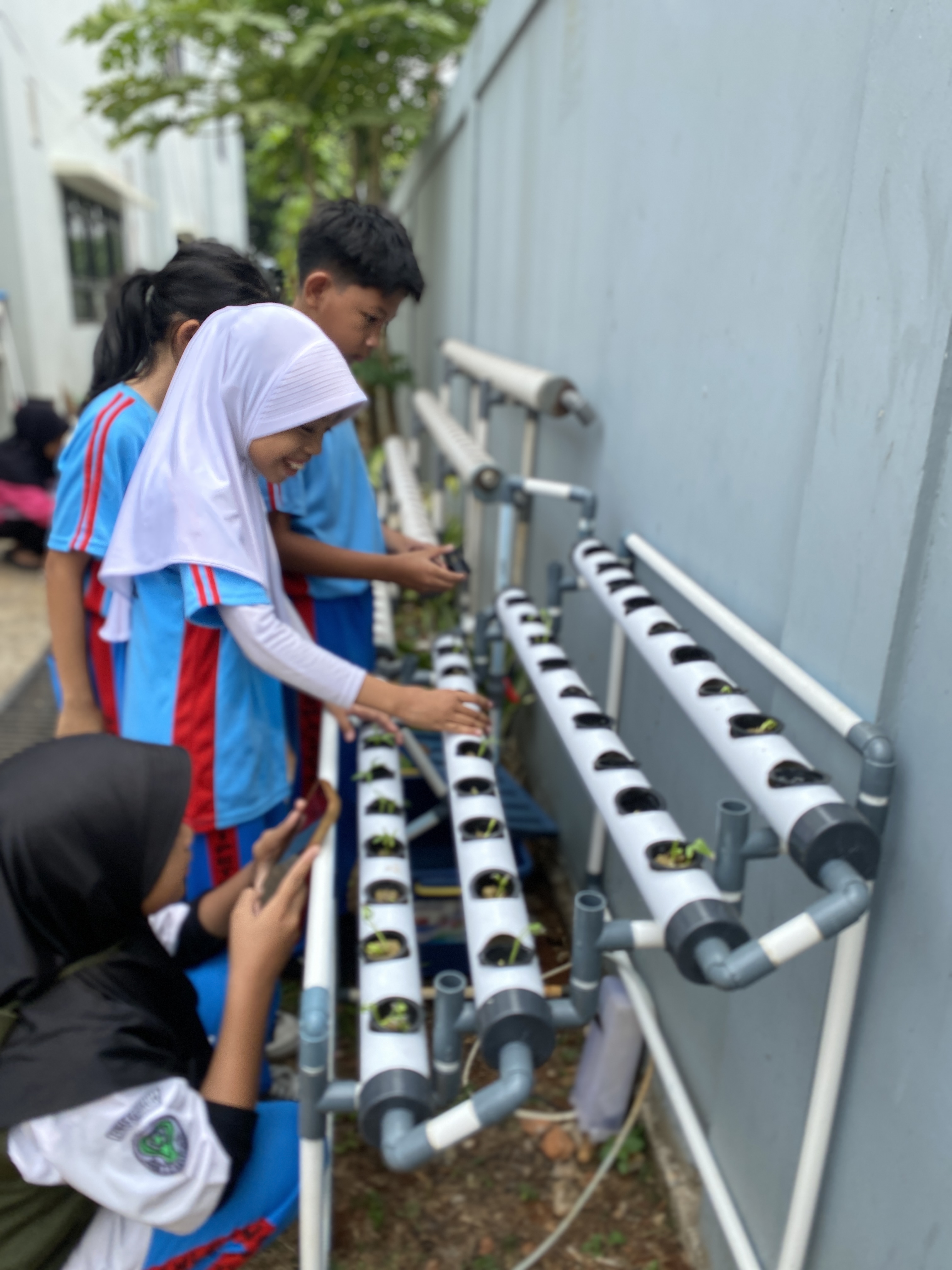 Lahan Urban Farming SDN Cipete Selatan 03 - Gambar 2